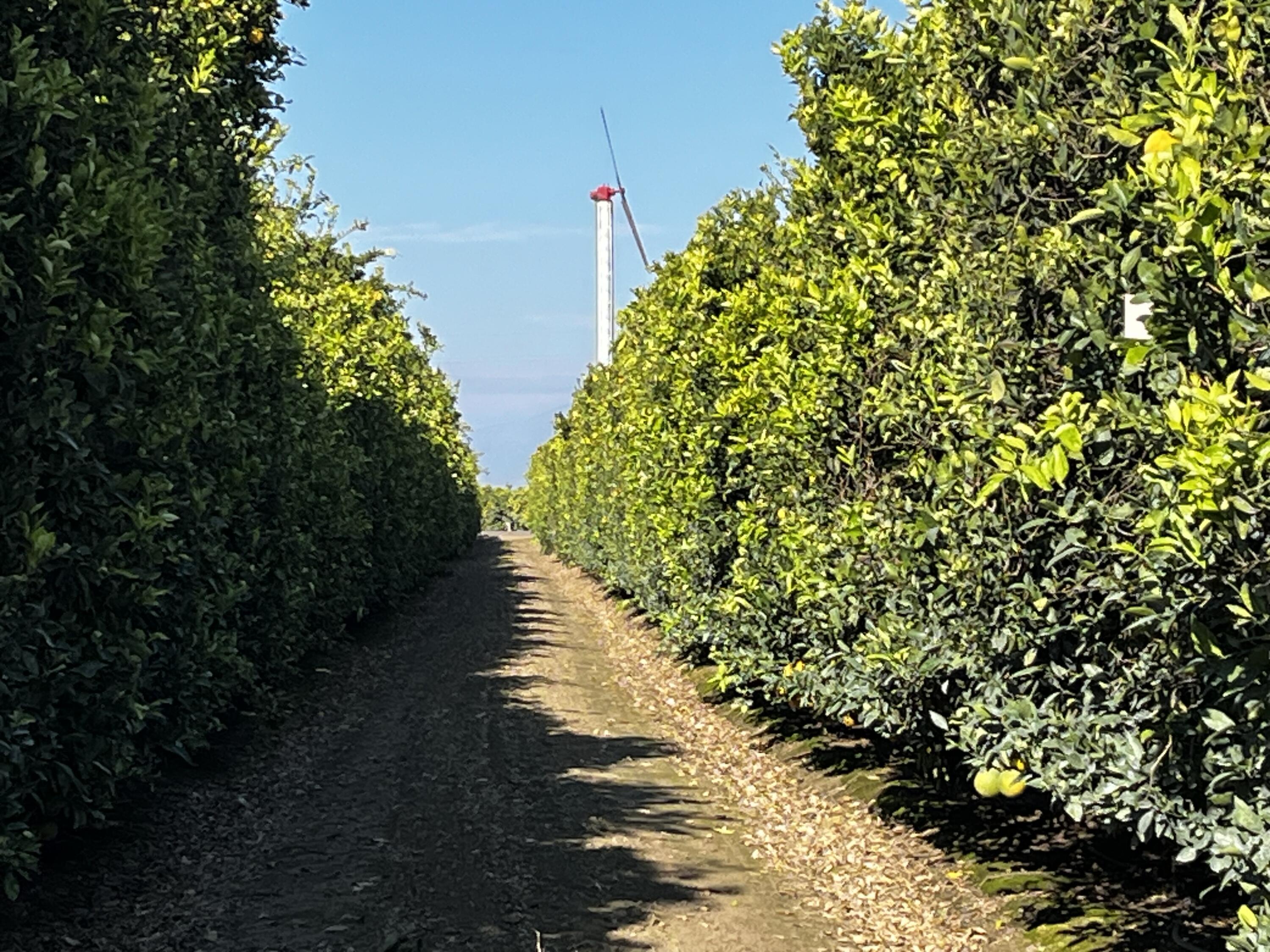 124, Orosi, CA 93647