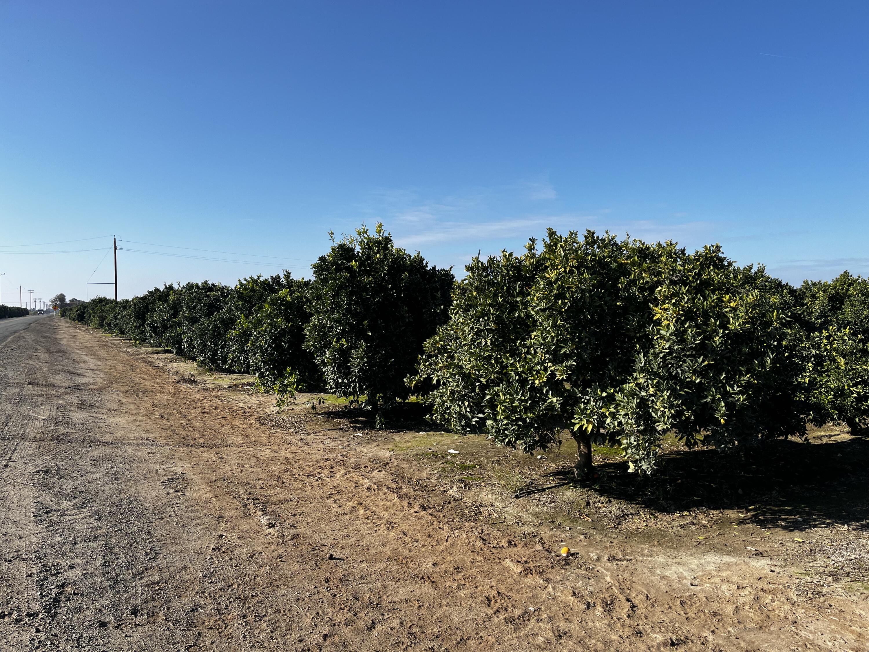 124, Orosi, CA 93647