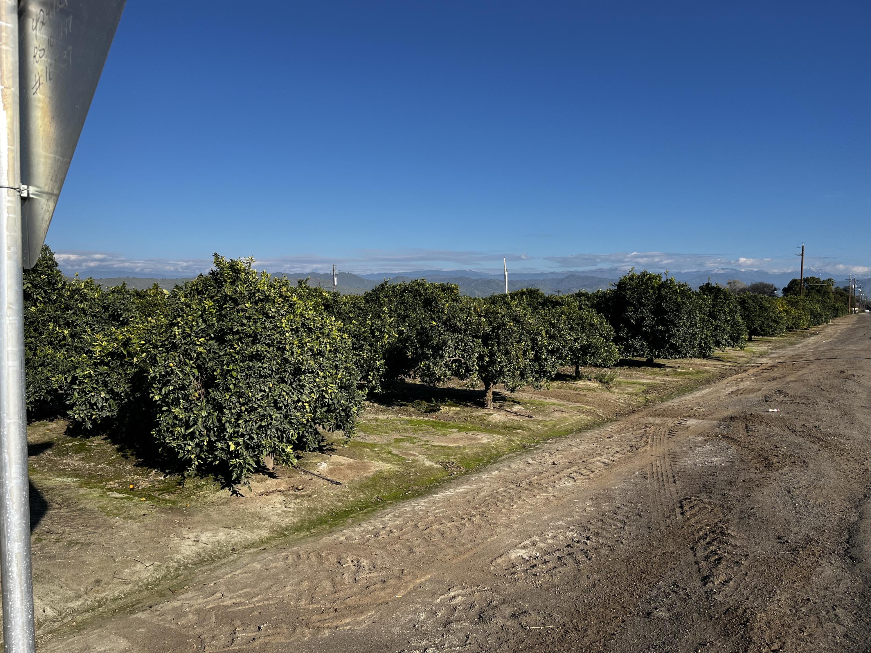 124, Orosi, CA 93647