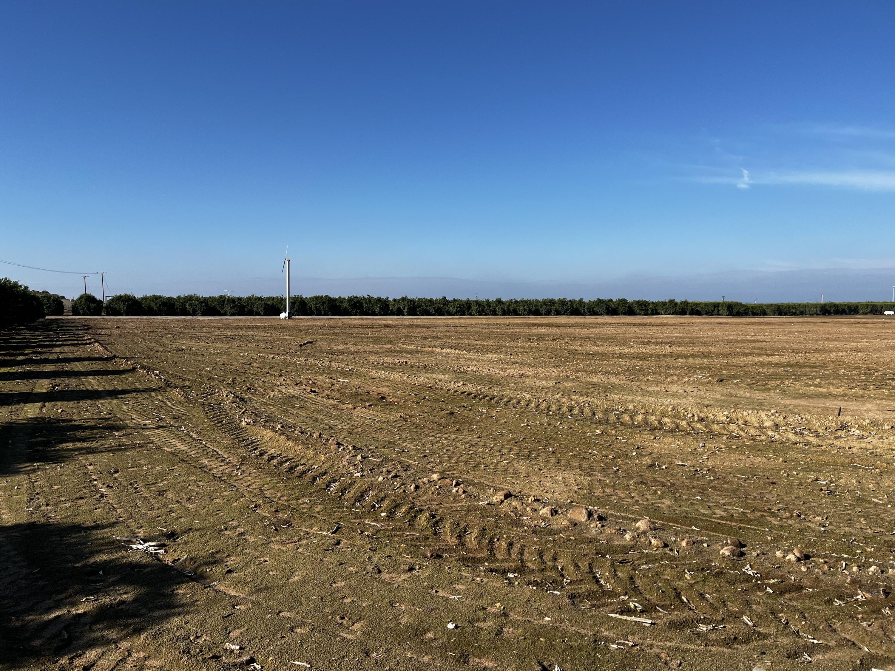 0 W Cajon Ave, Woodlake, CA 93286