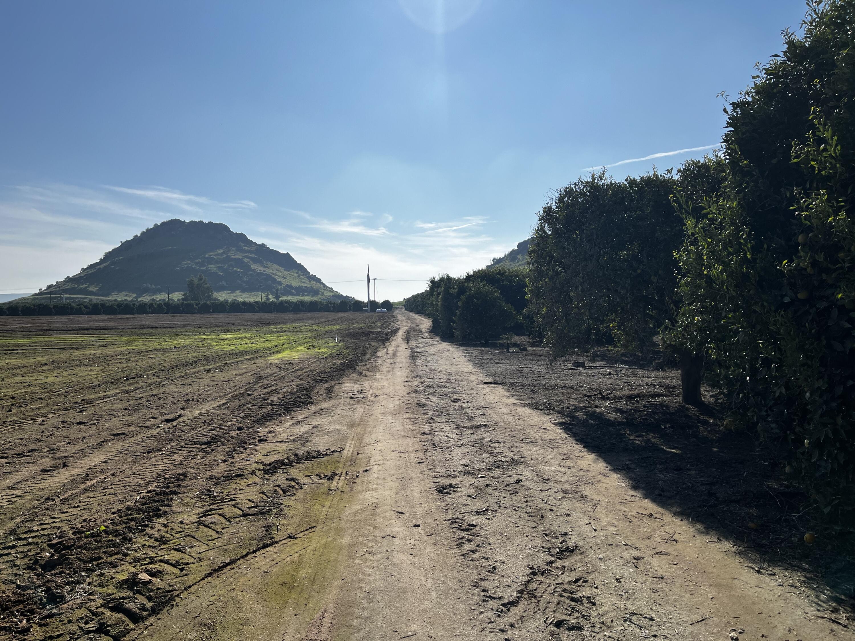 0 W Cajon Ave, Woodlake, CA 93286