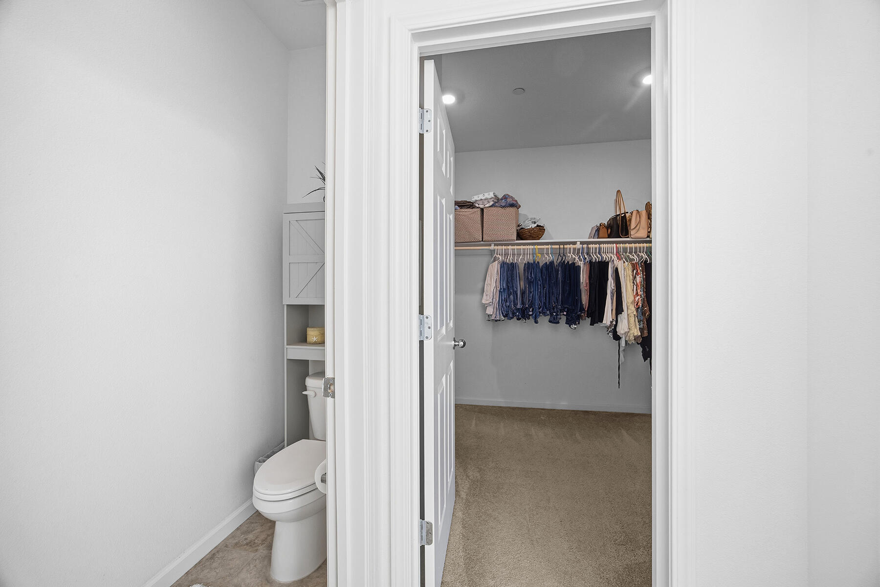 3623 E Seeger Ave, Visalia, CA 93292