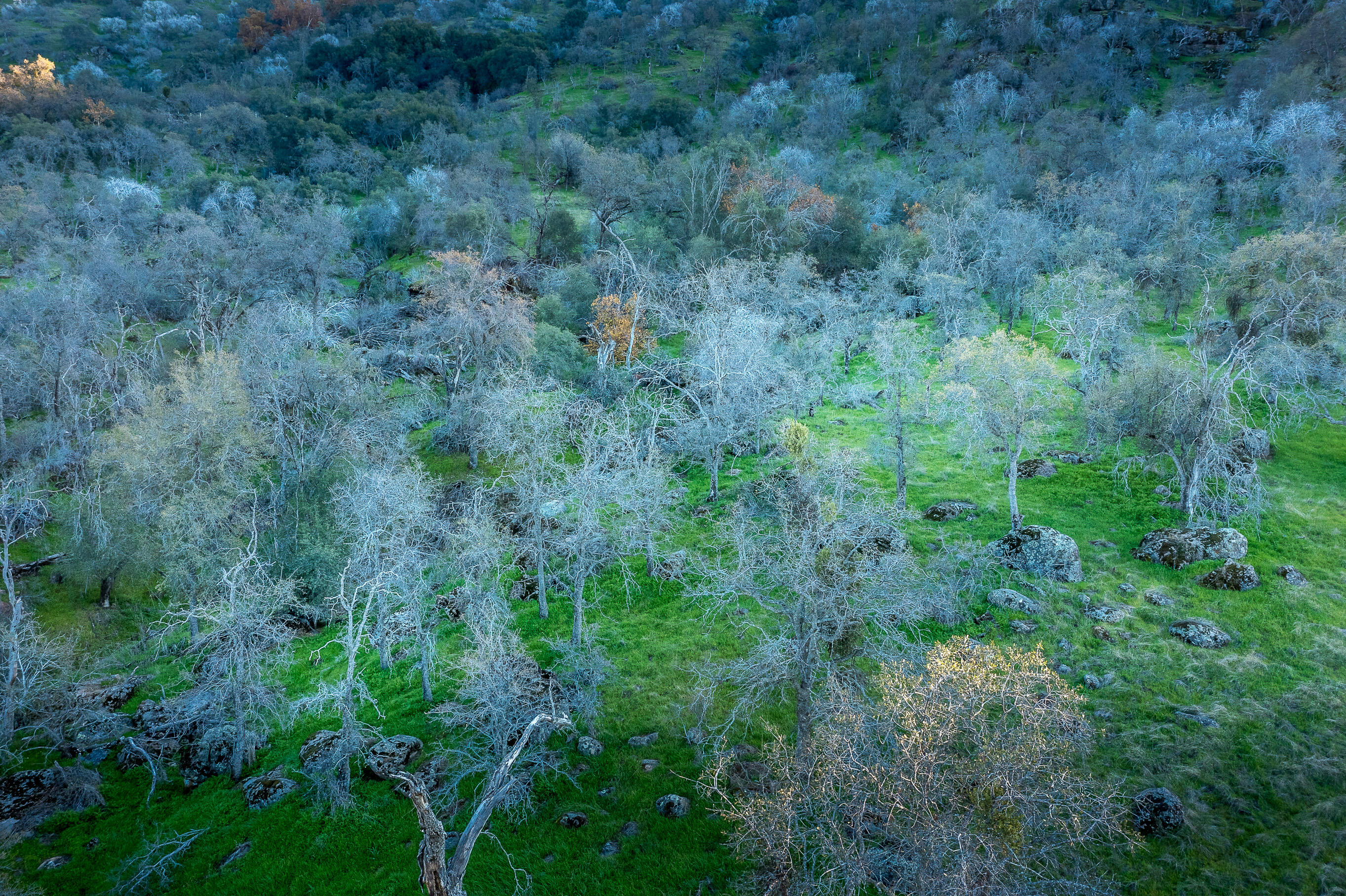 0 Sierra Drive Dr, Three Rivers, CA 93271