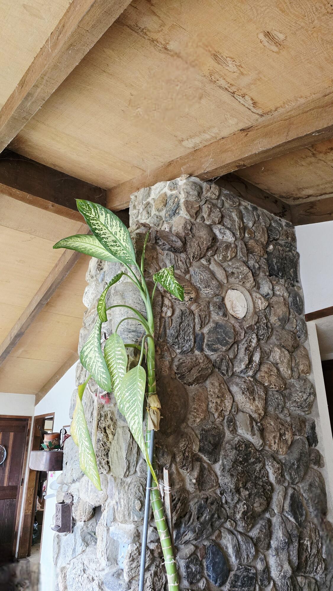 40838 Oak Ridge Dr, Three Rivers, CA 93271