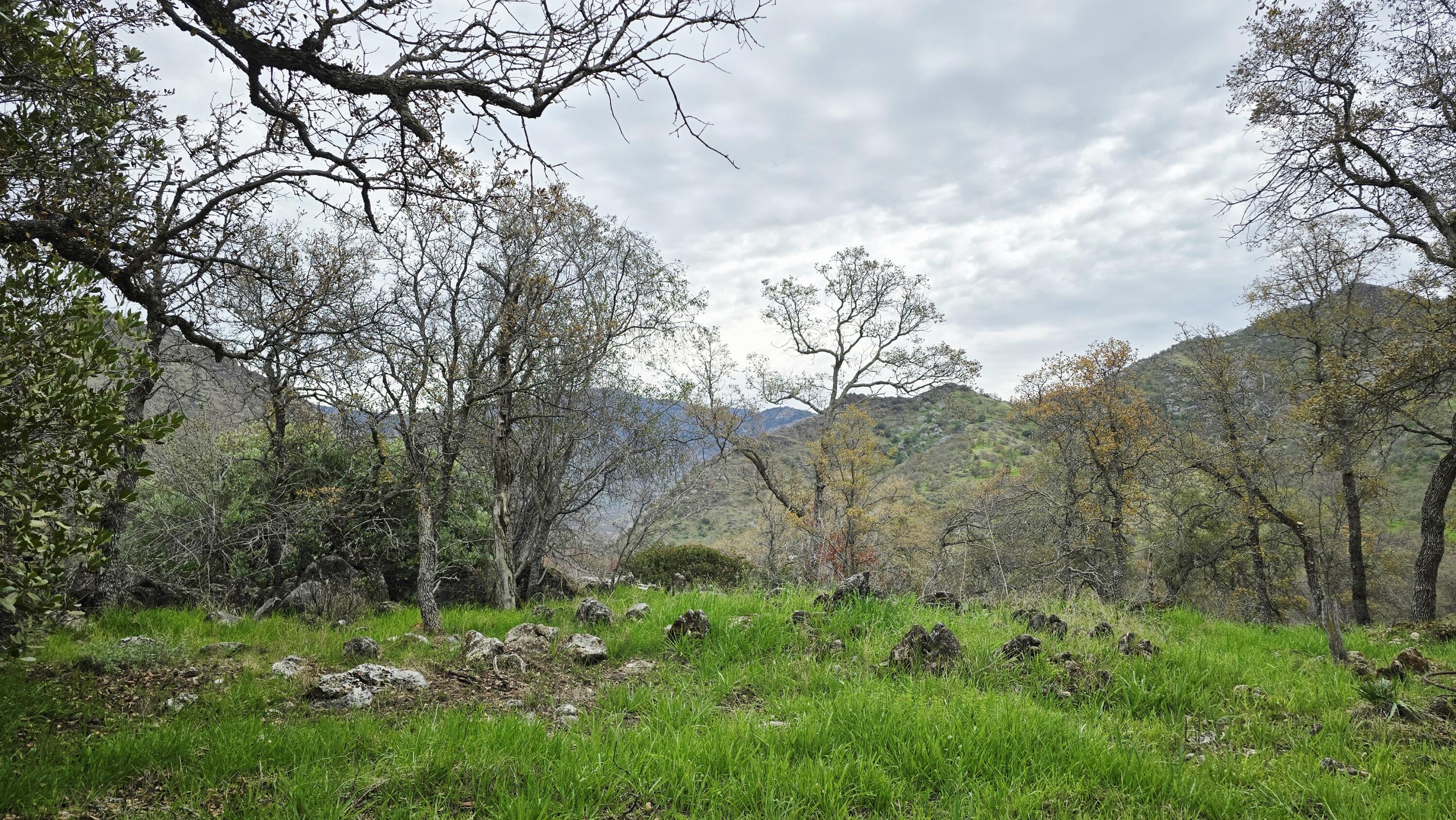 40838 Oak Ridge Dr, Three Rivers, CA 93271