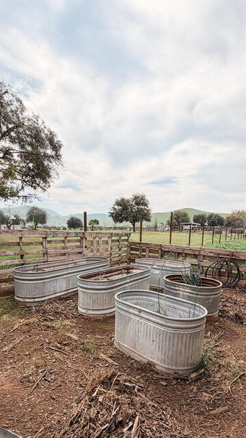 31338 Dahlem Dr, Exeter, CA 93221