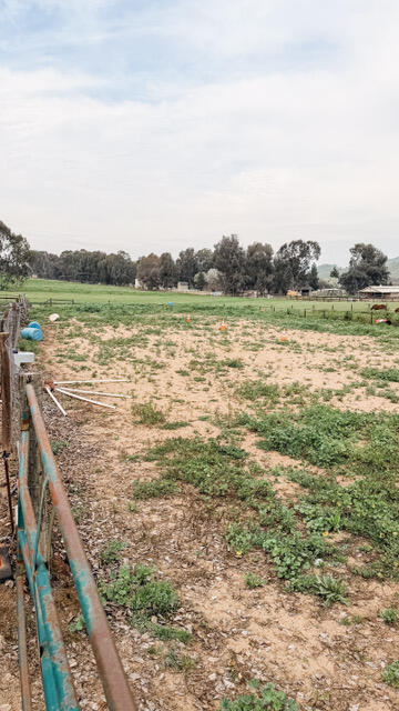 31338 Dahlem Dr, Exeter, CA 93221