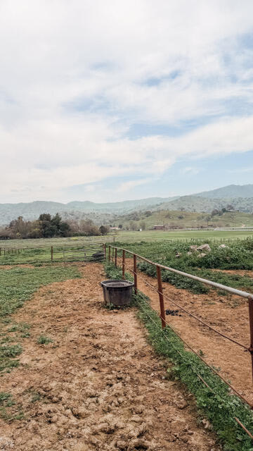 31338 Dahlem Dr, Exeter, CA 93221