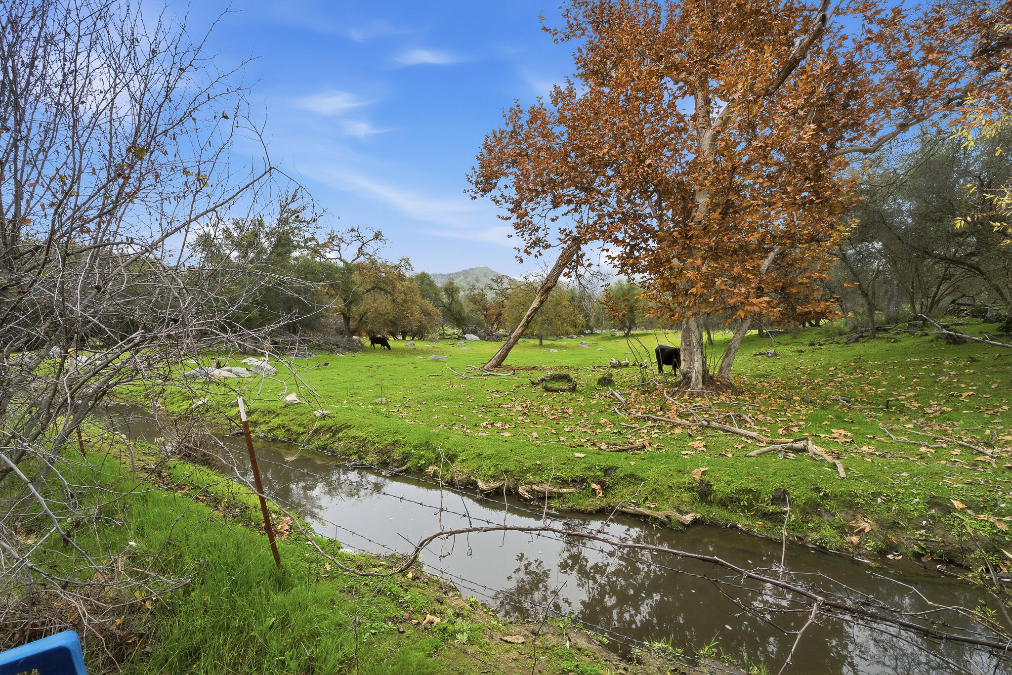 33721 Globe Dr, Springville, CA 93265