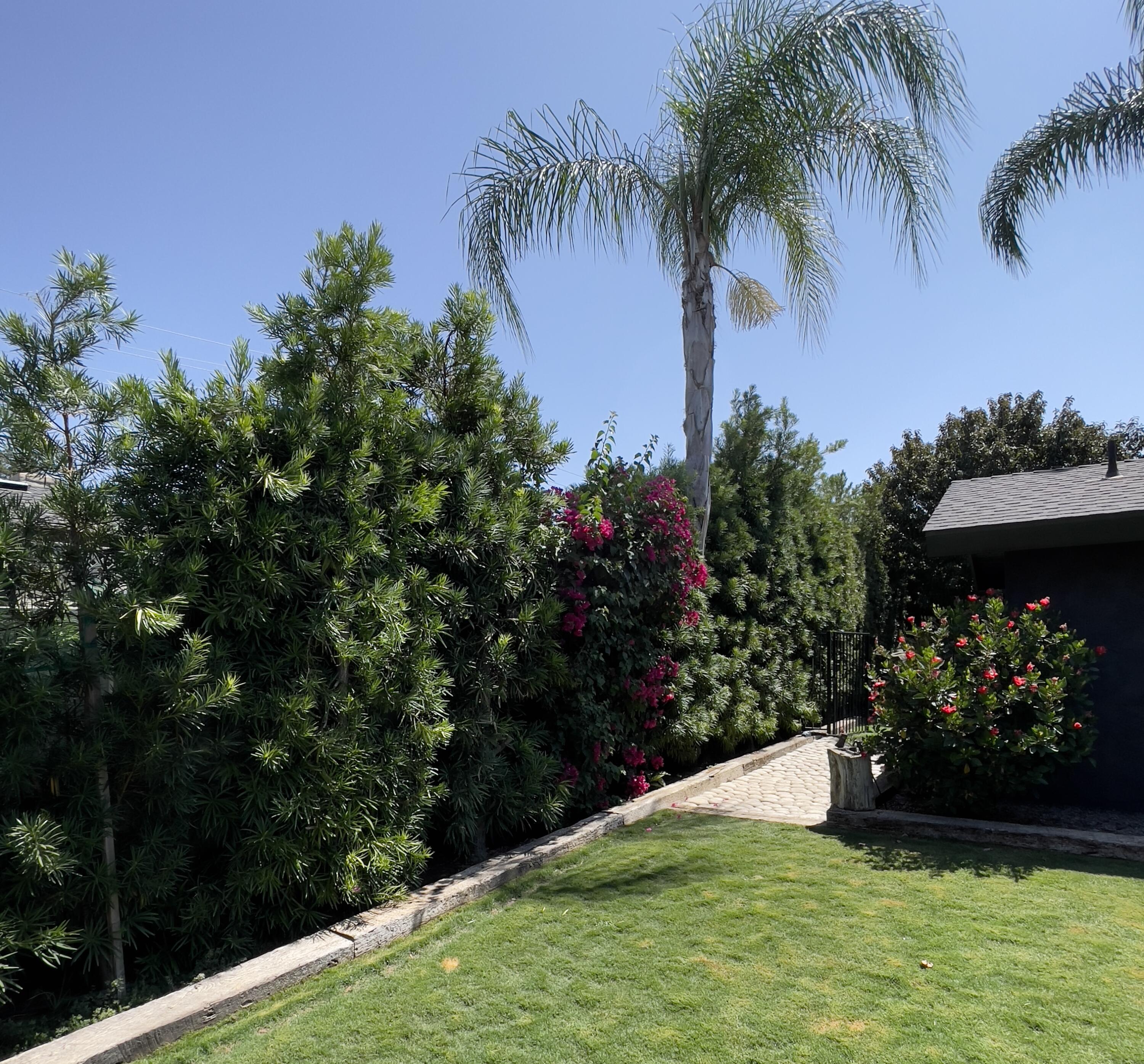 460 Ruma Rancho Ct, Porterville, CA 93257