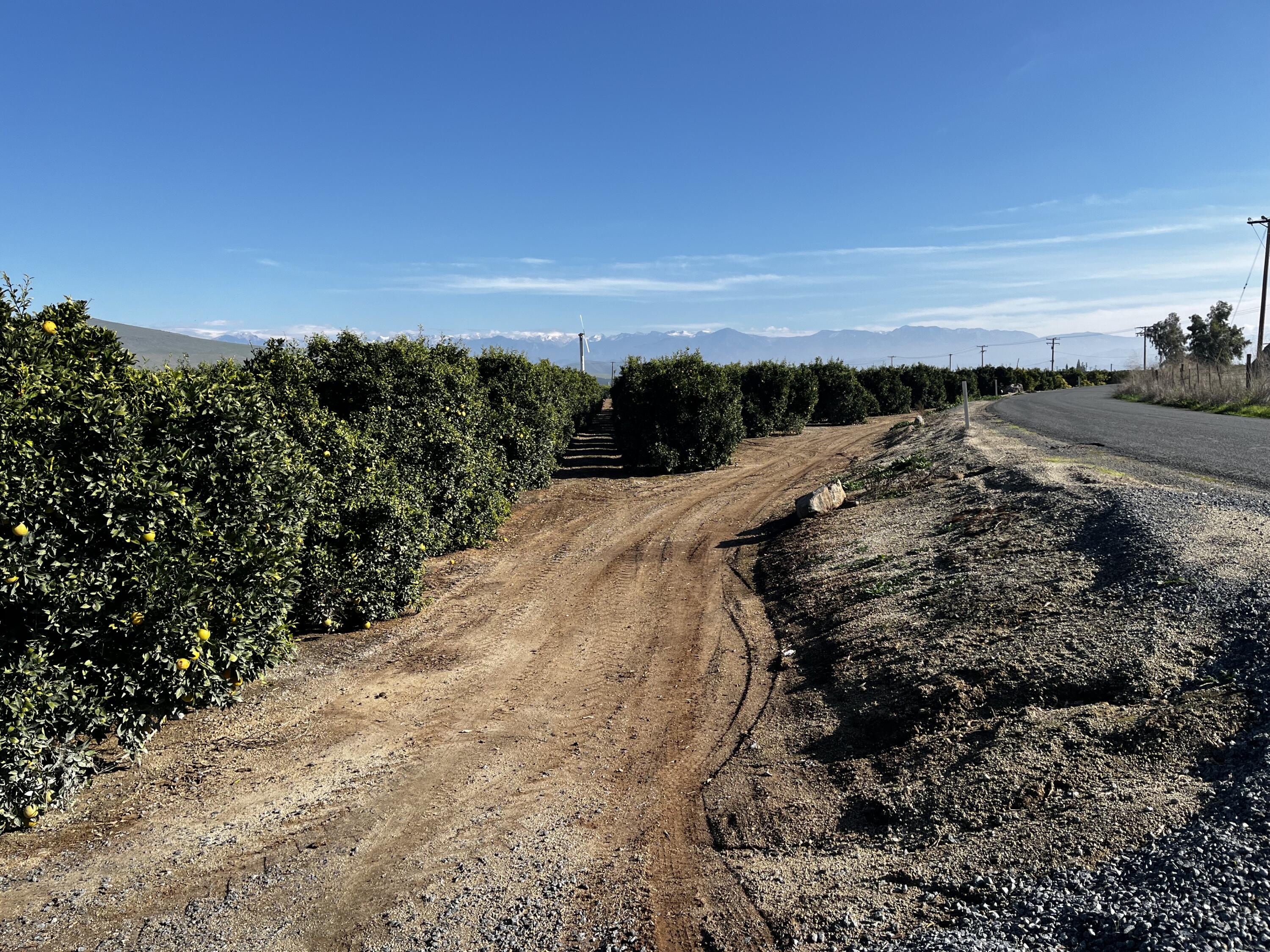 0 W Cajon Ave, Woodlake, CA 93286