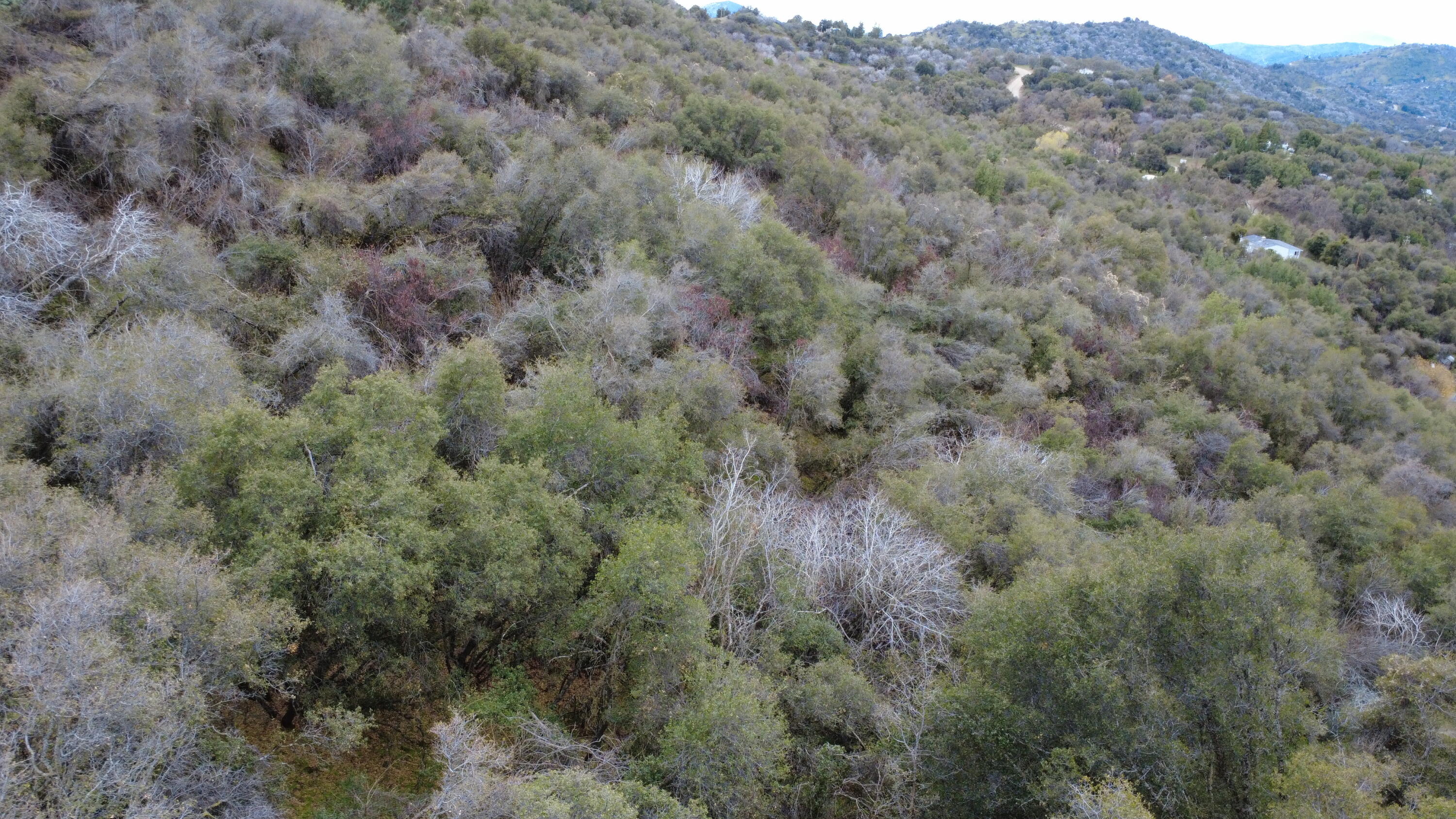 0 Apn 190-430-43, Yokuts Valley, CA 93675