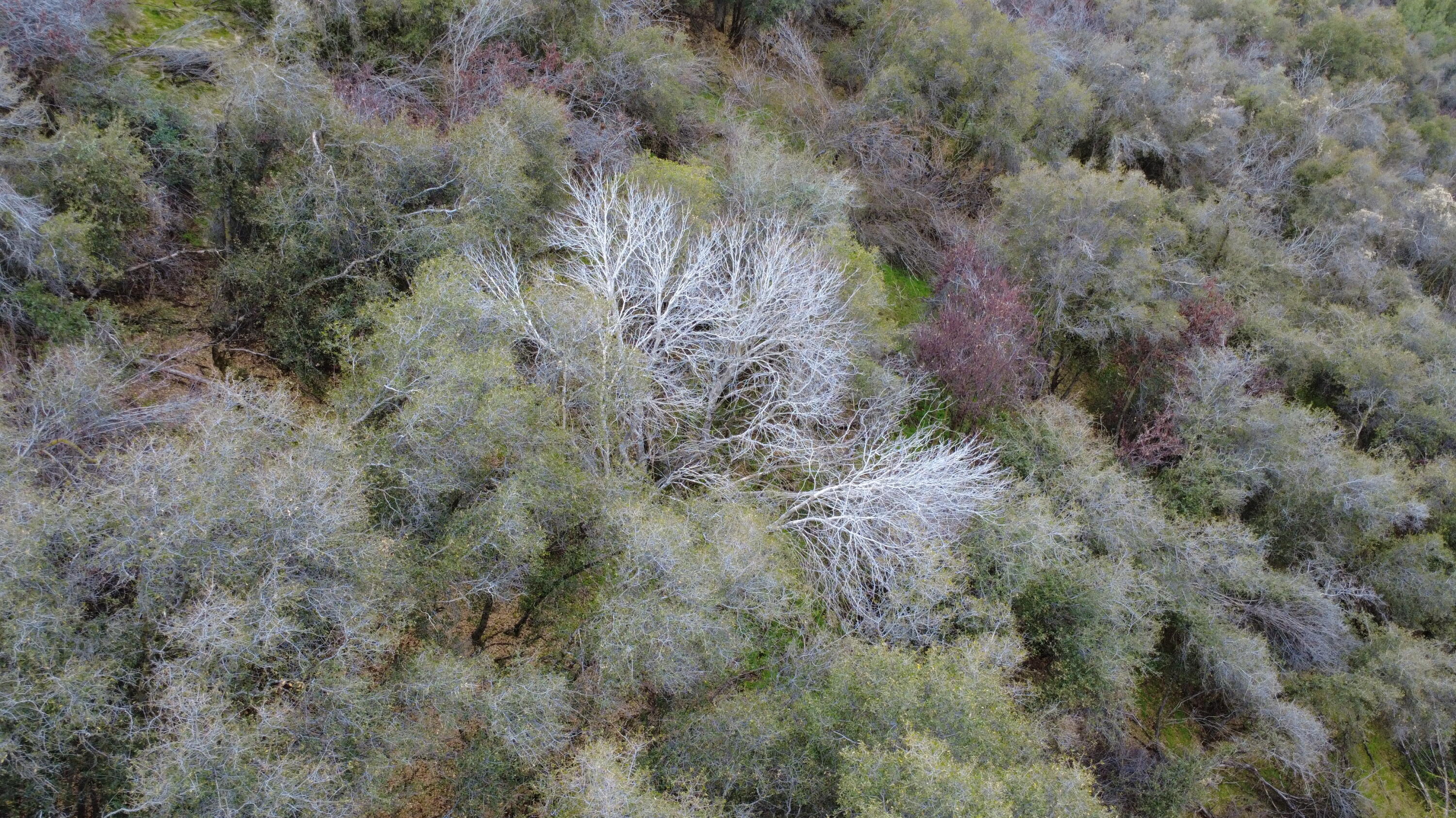 0 Apn 190-430-43, Yokuts Valley, CA 93675