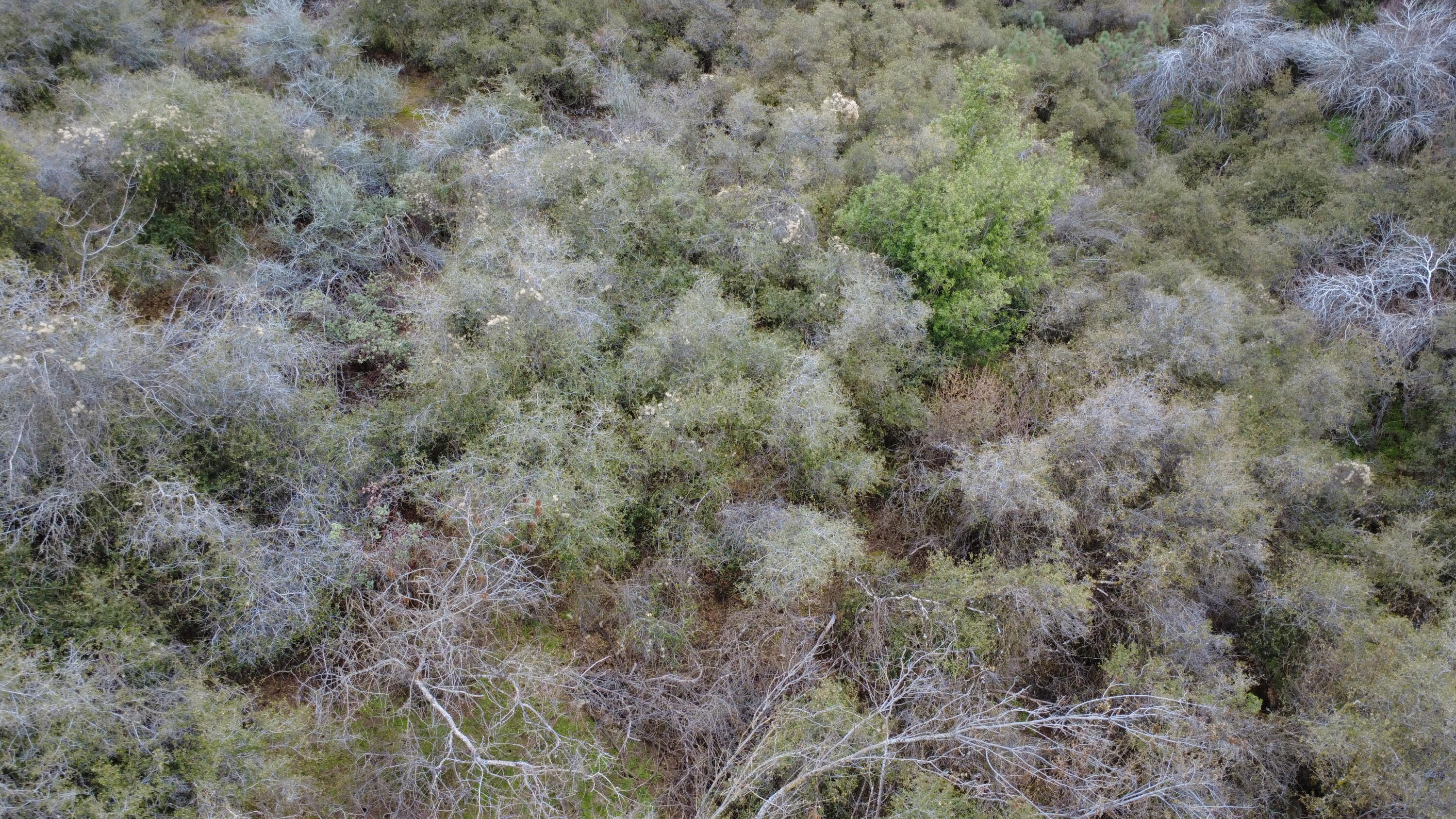 0 Apn 190-430-43, Yokuts Valley, CA 93675