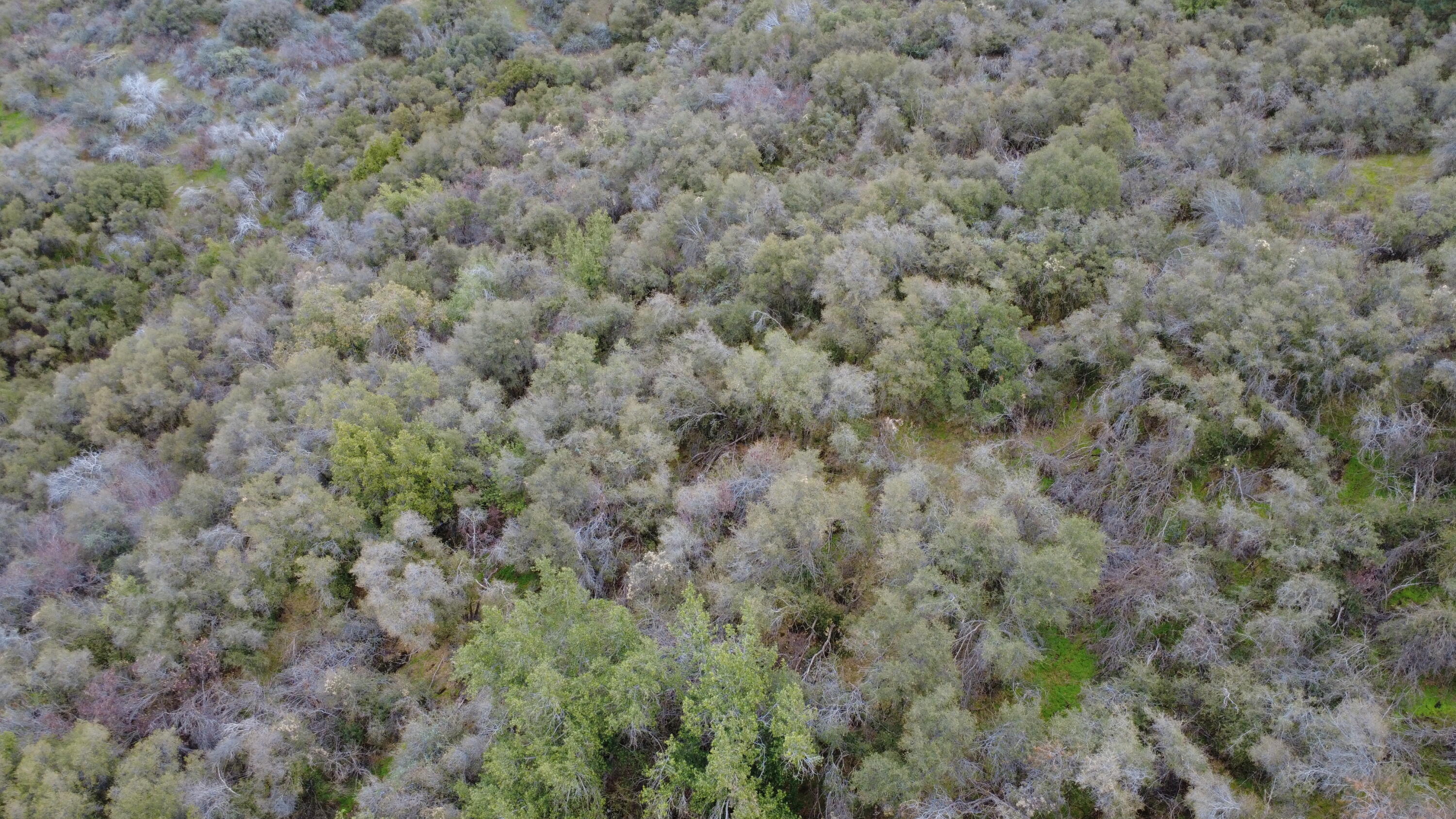 0 Apn 190-430-43, Yokuts Valley, CA 93675