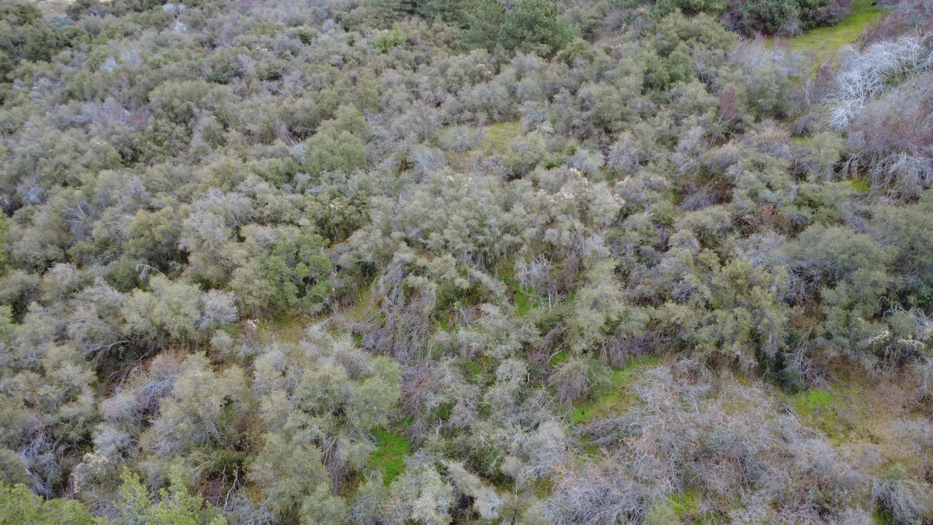 0 Apn 190-430-43, Yokuts Valley, CA 93675