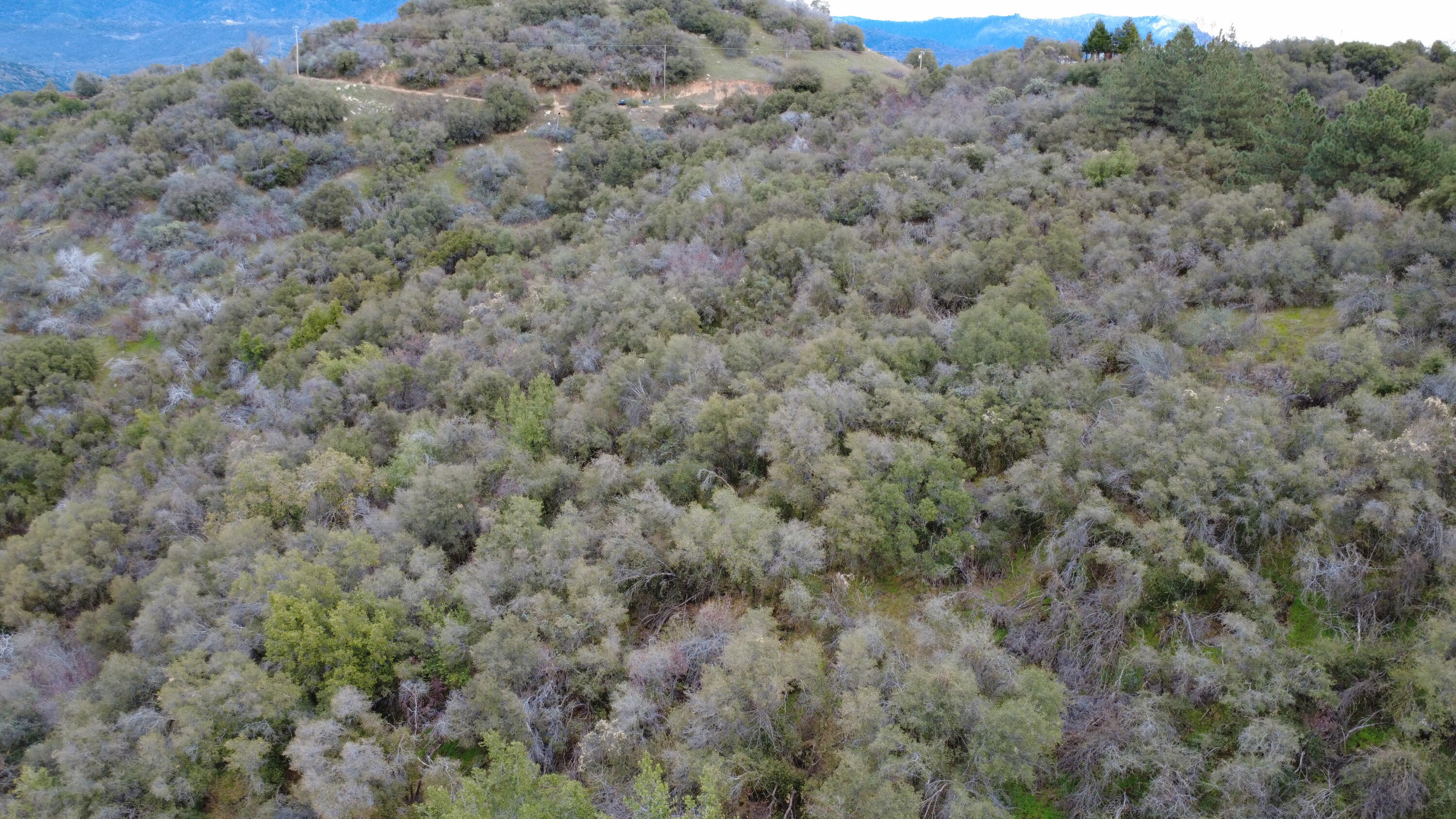 0 Apn 190-430-43, Yokuts Valley, CA 93675