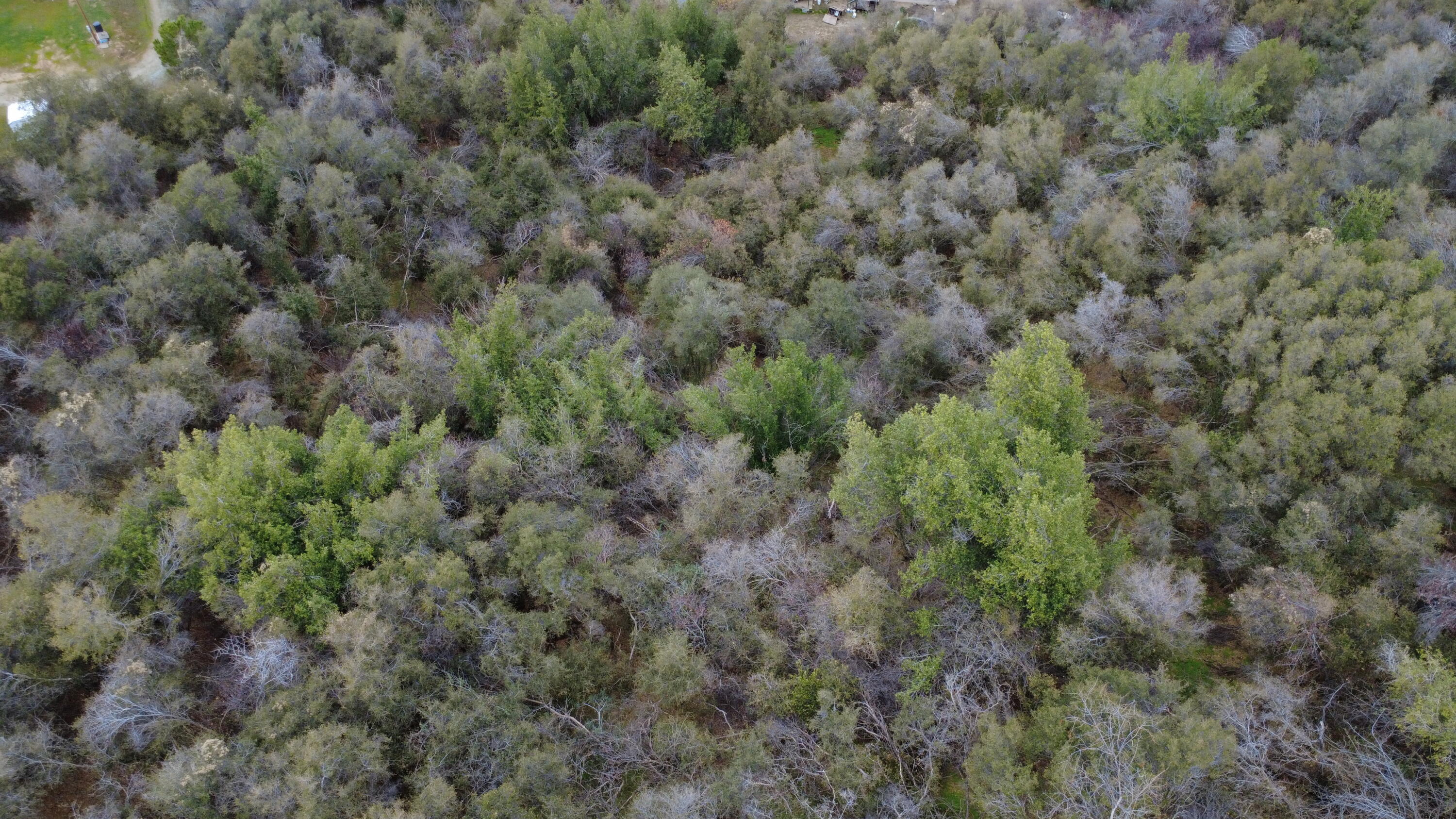 0 Apn 190-430-43, Yokuts Valley, CA 93675