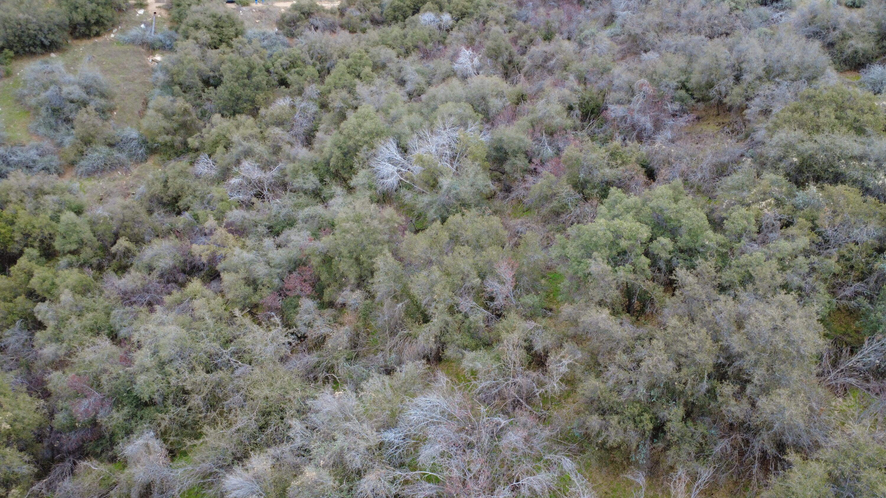 0 Apn 190-430-43, Yokuts Valley, CA 93675