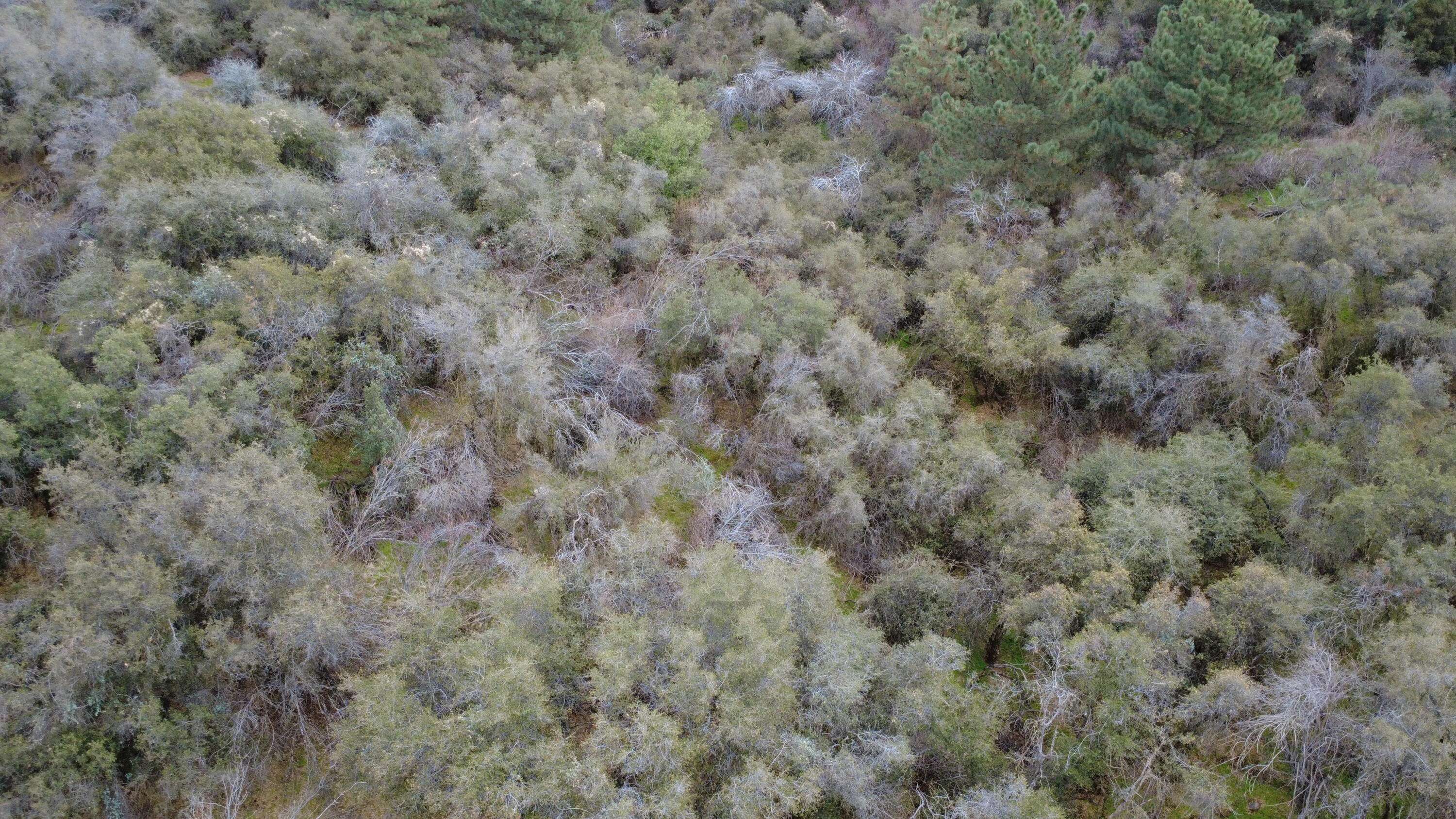 0 Apn 190-430-43, Yokuts Valley, CA 93675