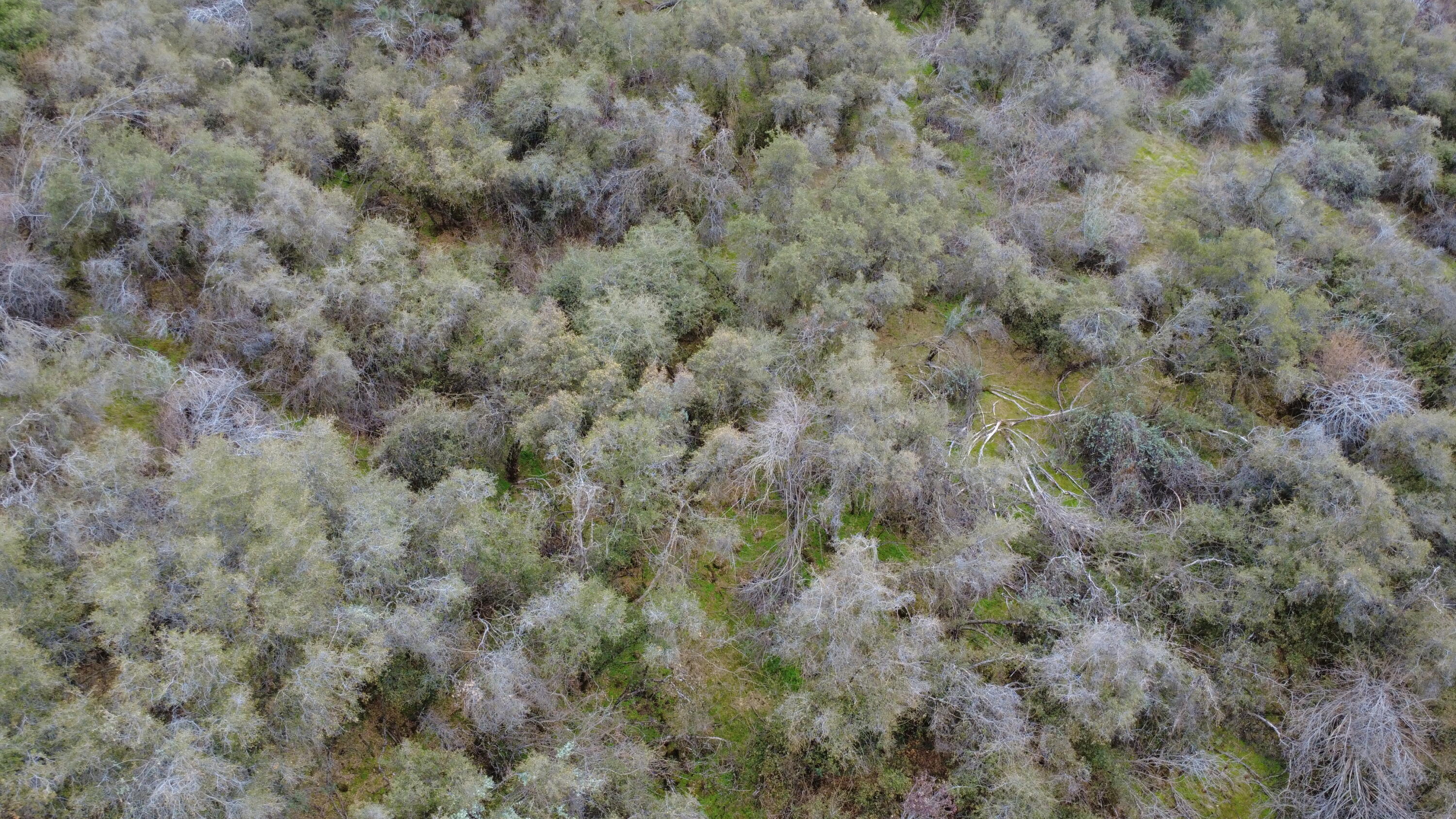 0 Apn 190-430-43, Yokuts Valley, CA 93675