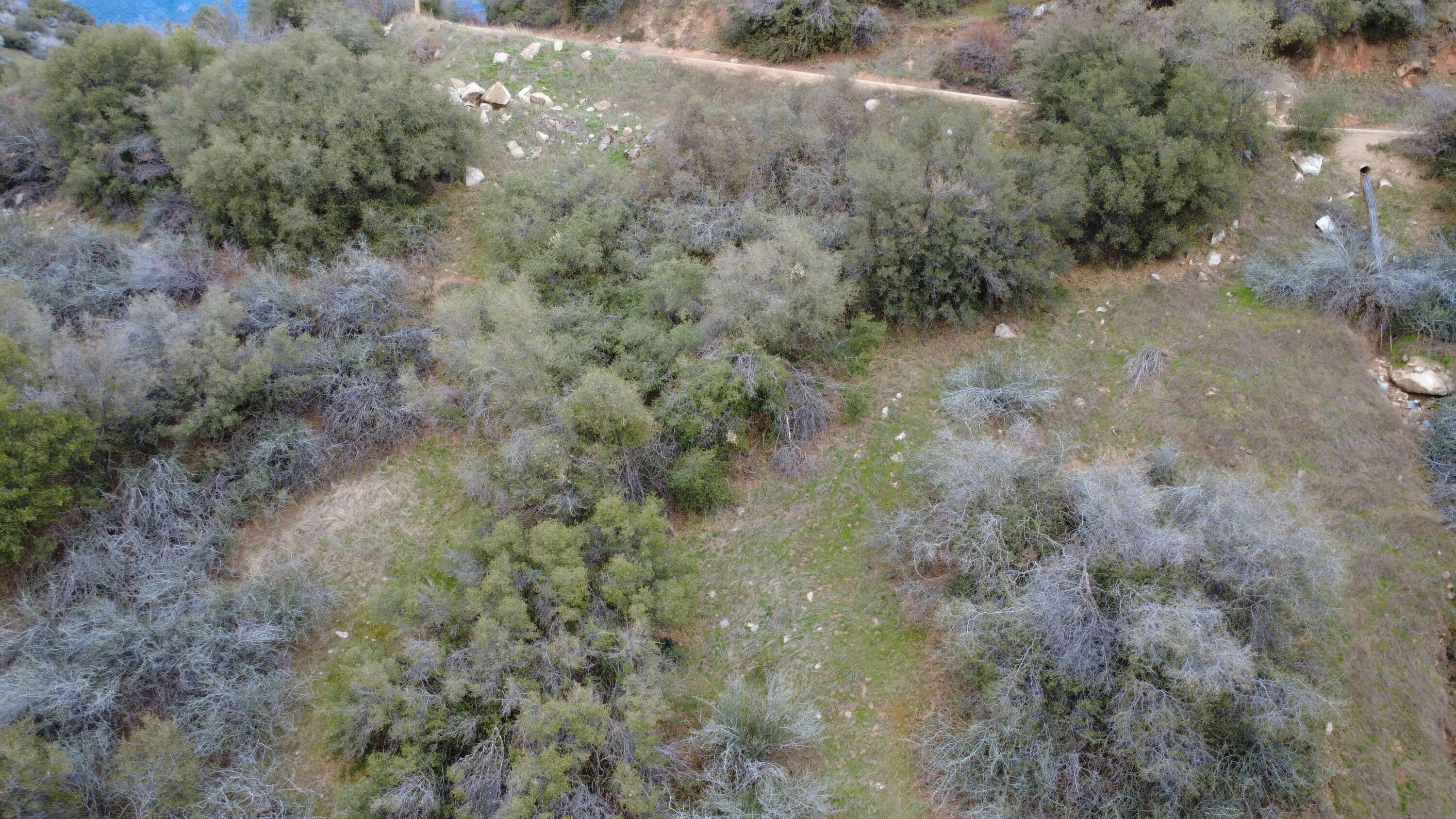 0 Apn 190-430-43, Yokuts Valley, CA 93675