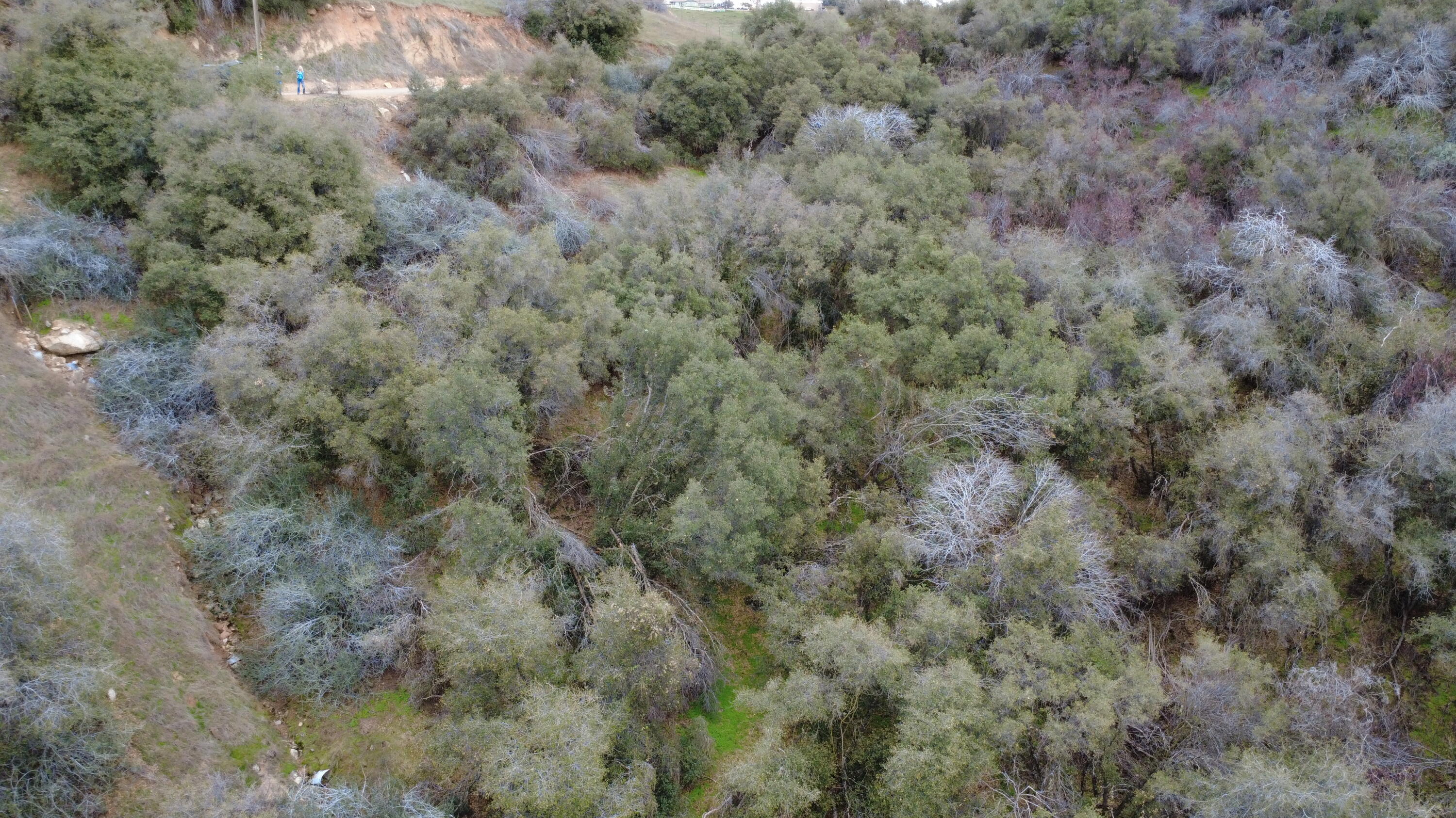 0 Apn 190-430-43, Yokuts Valley, CA 93675