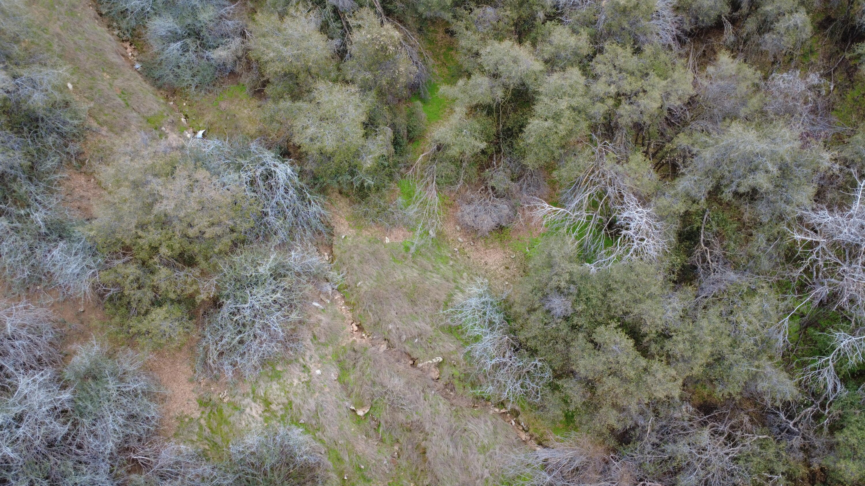 0 Apn 190-430-43, Yokuts Valley, CA 93675