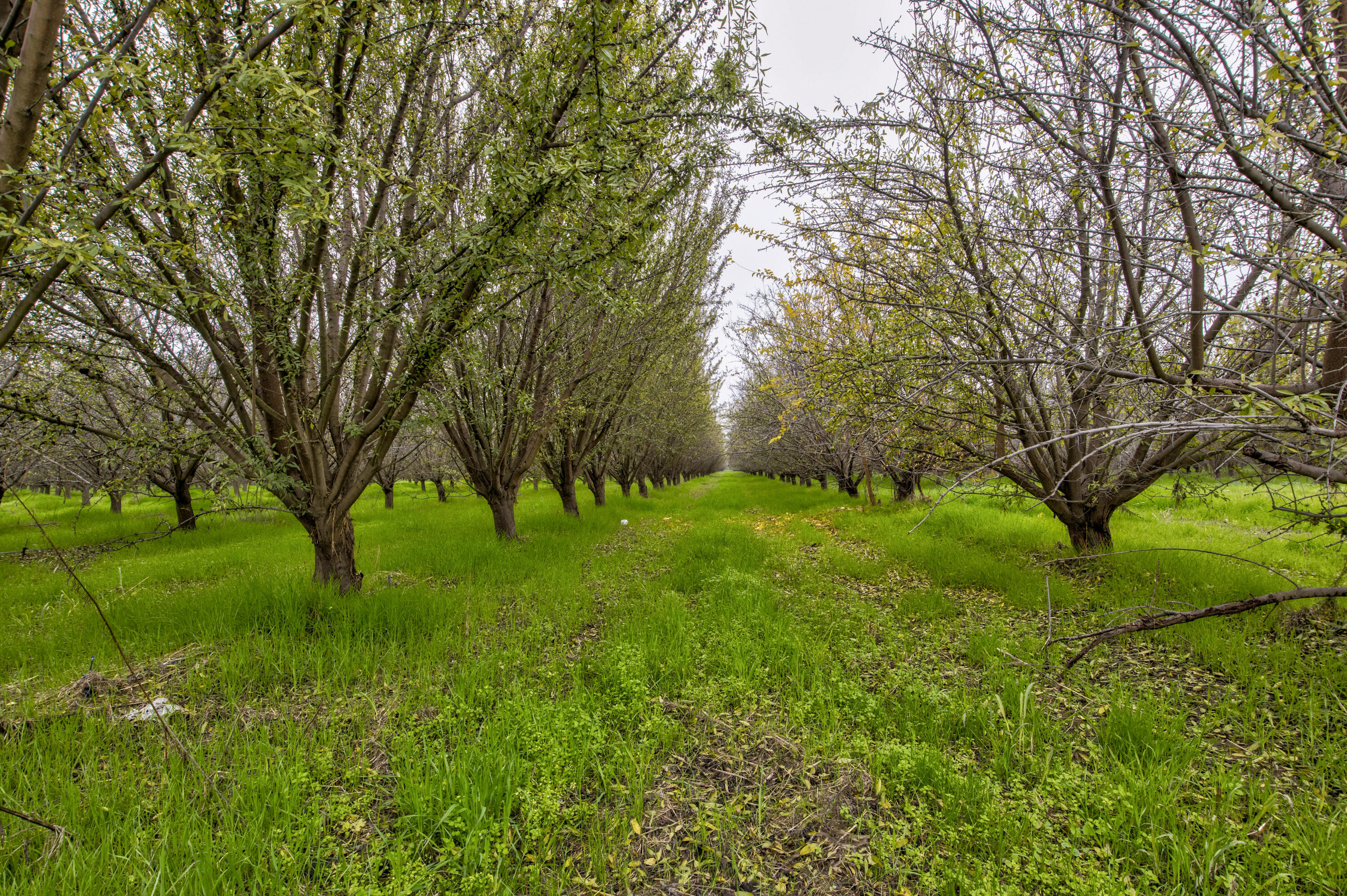 0 Hwy 65 & Tule River, Porterville, CA 93257