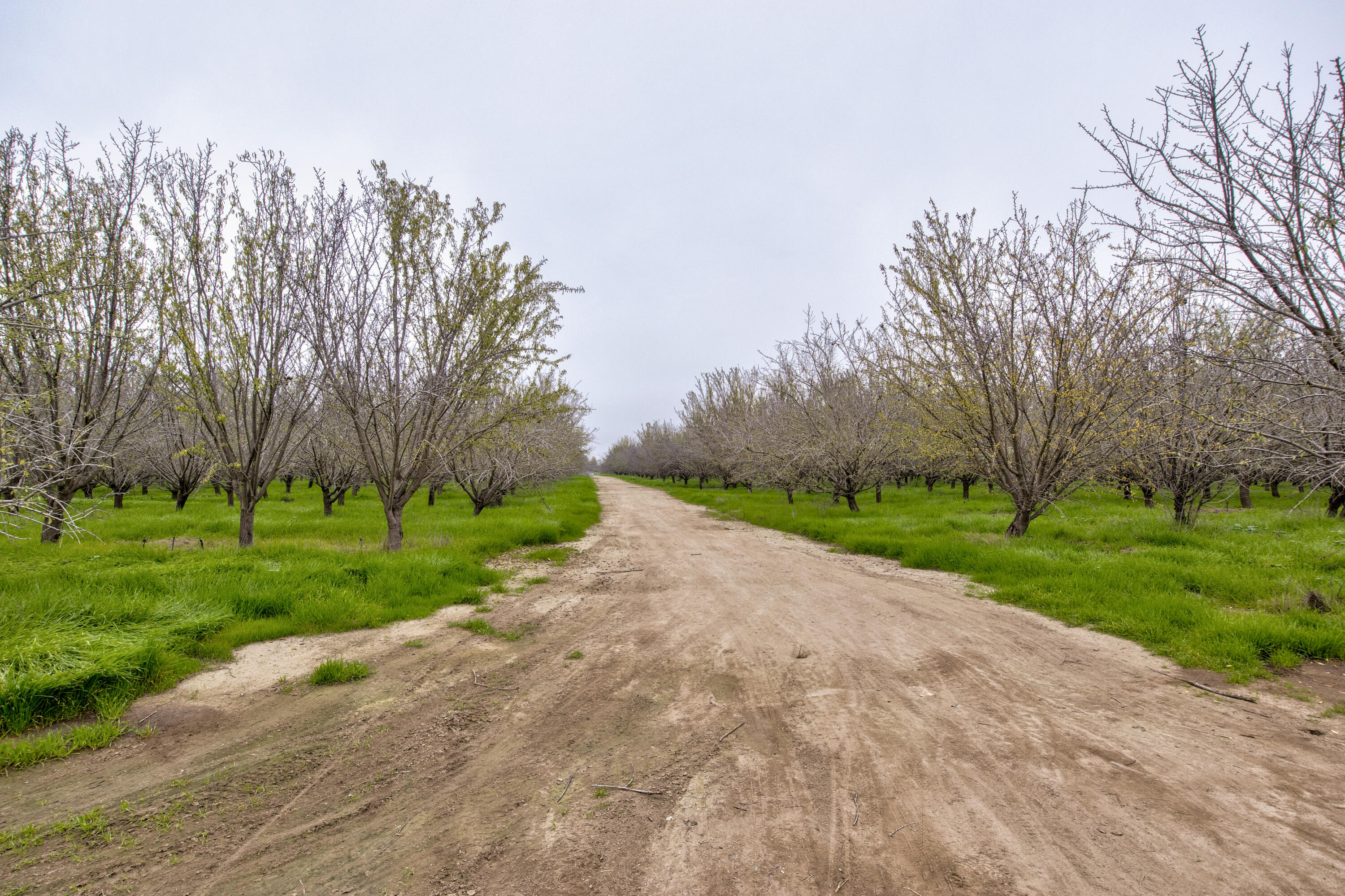 0 Hwy 65 & Tule River, Porterville, CA 93257