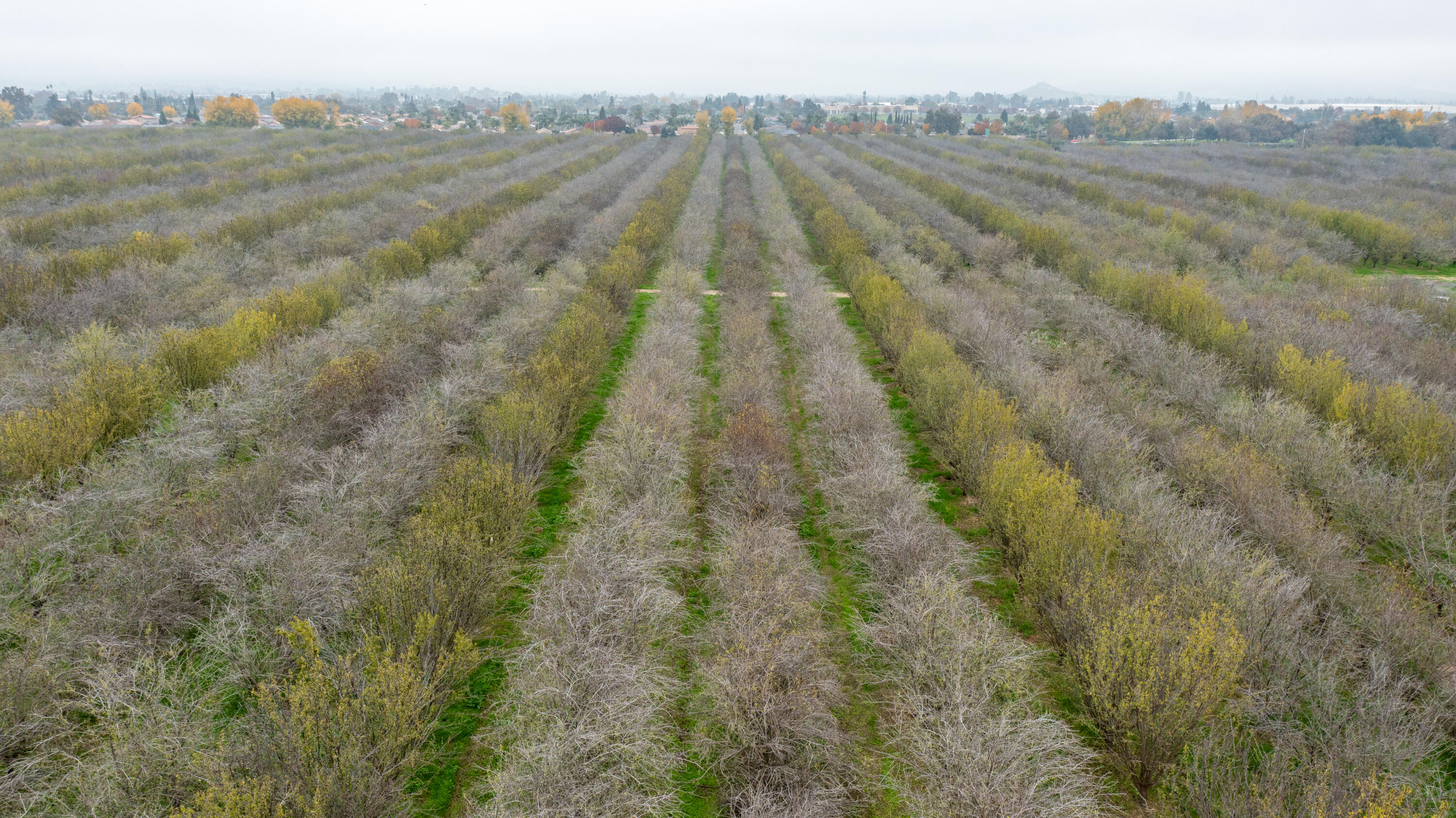 0 Hwy 65 & Tule River, Porterville, CA 93257