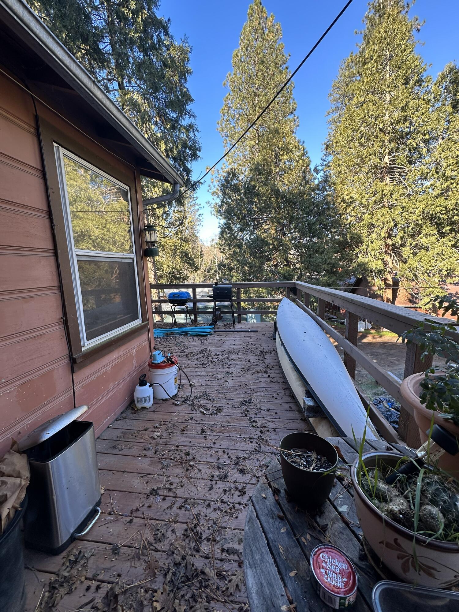 246 Rabbit Foot Trl, California Hot Springs, CA 93207