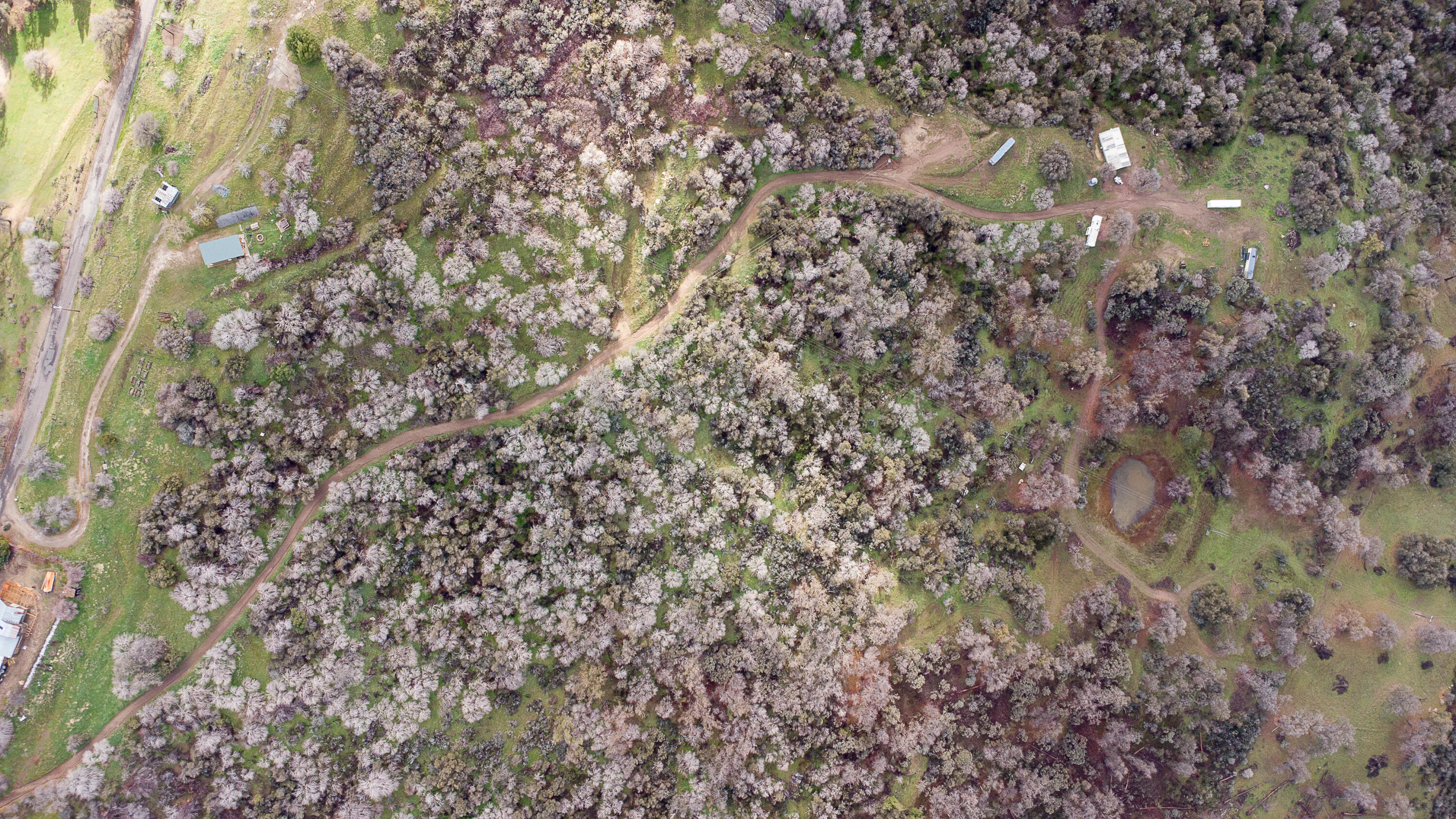 369 Hogback Dr Dr, Badger, CA 93603