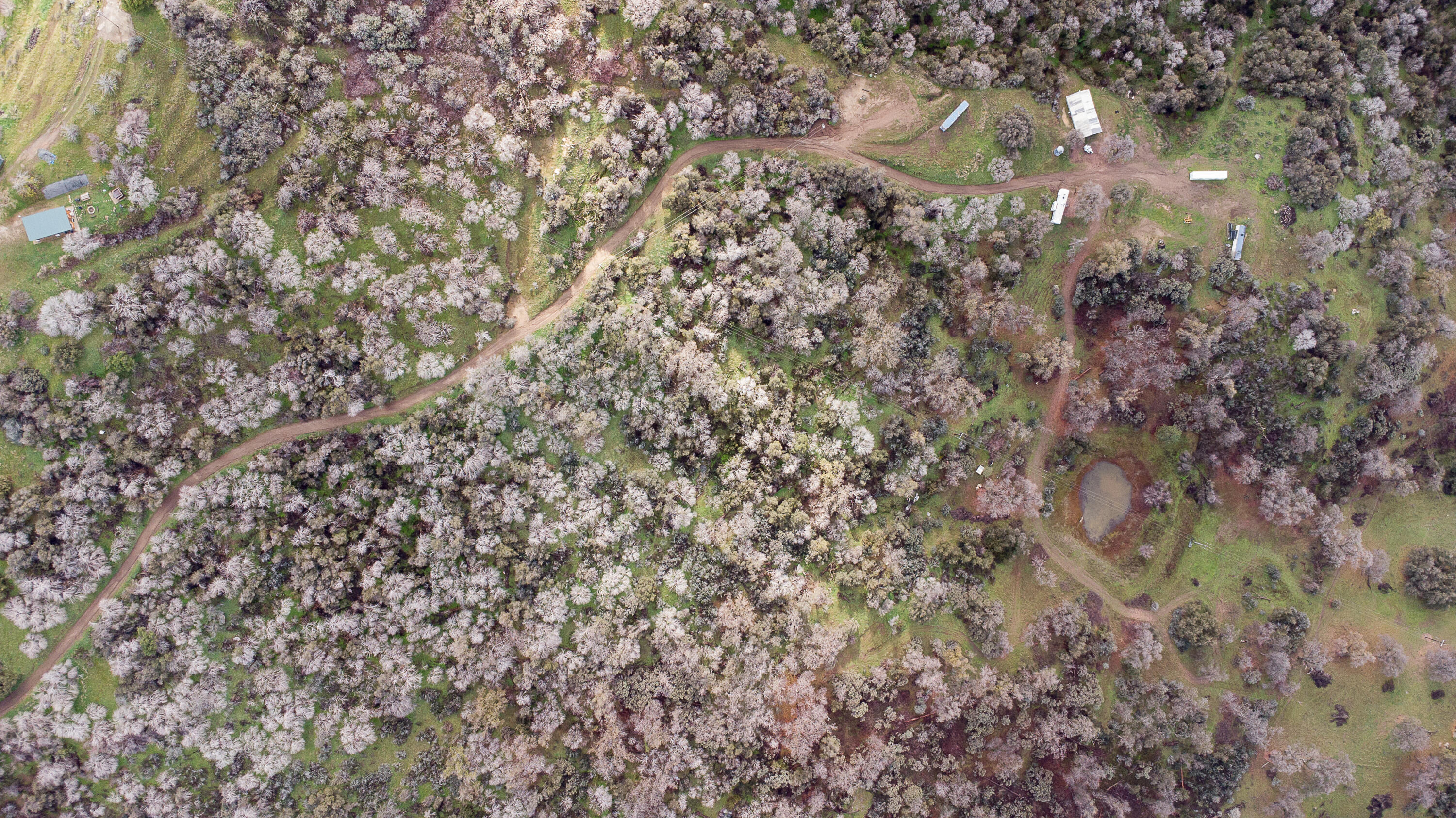 369 Hogback Dr Dr, Badger, CA 93603