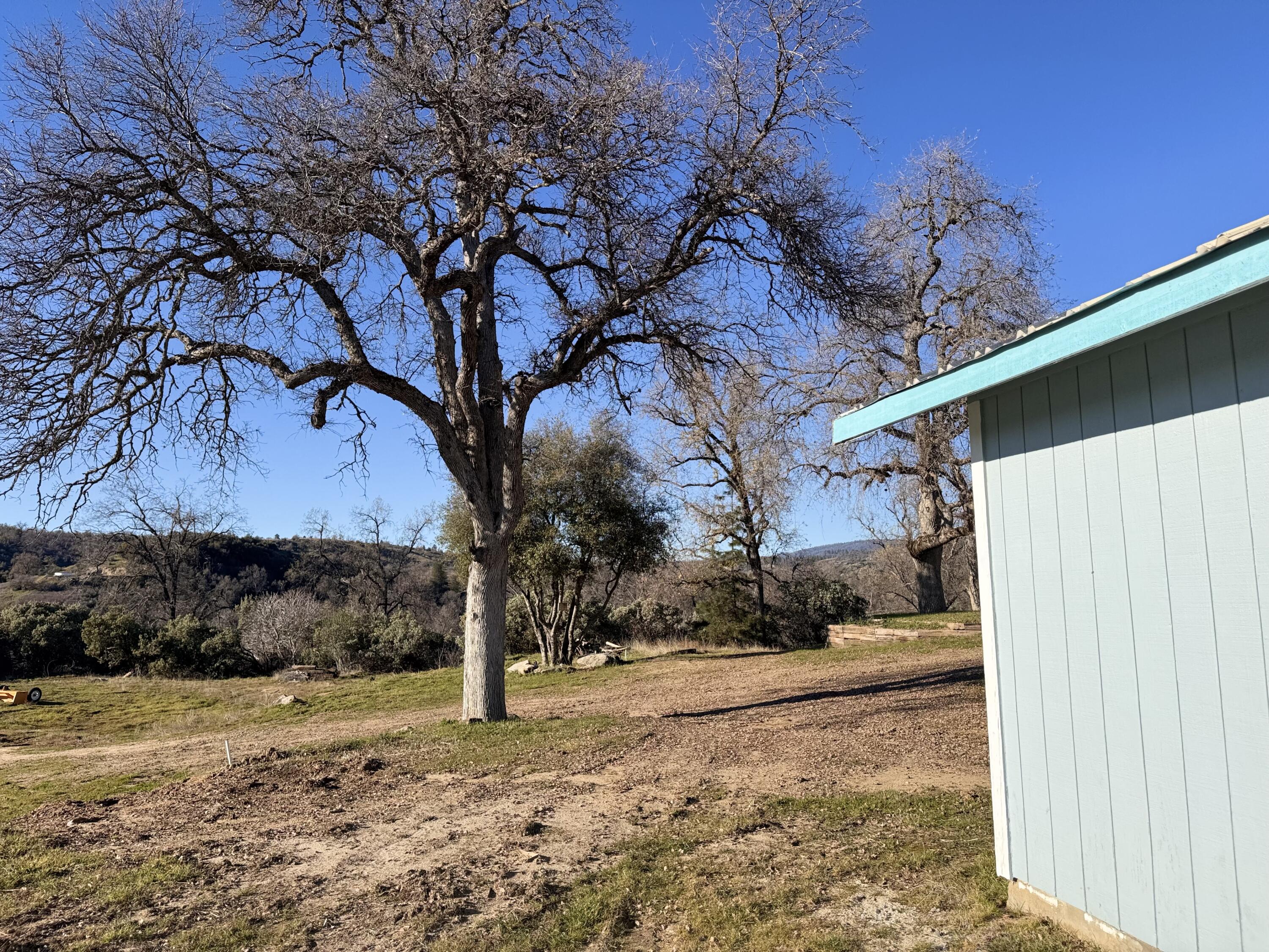 369 Hogback Dr Dr, Badger, CA 93603