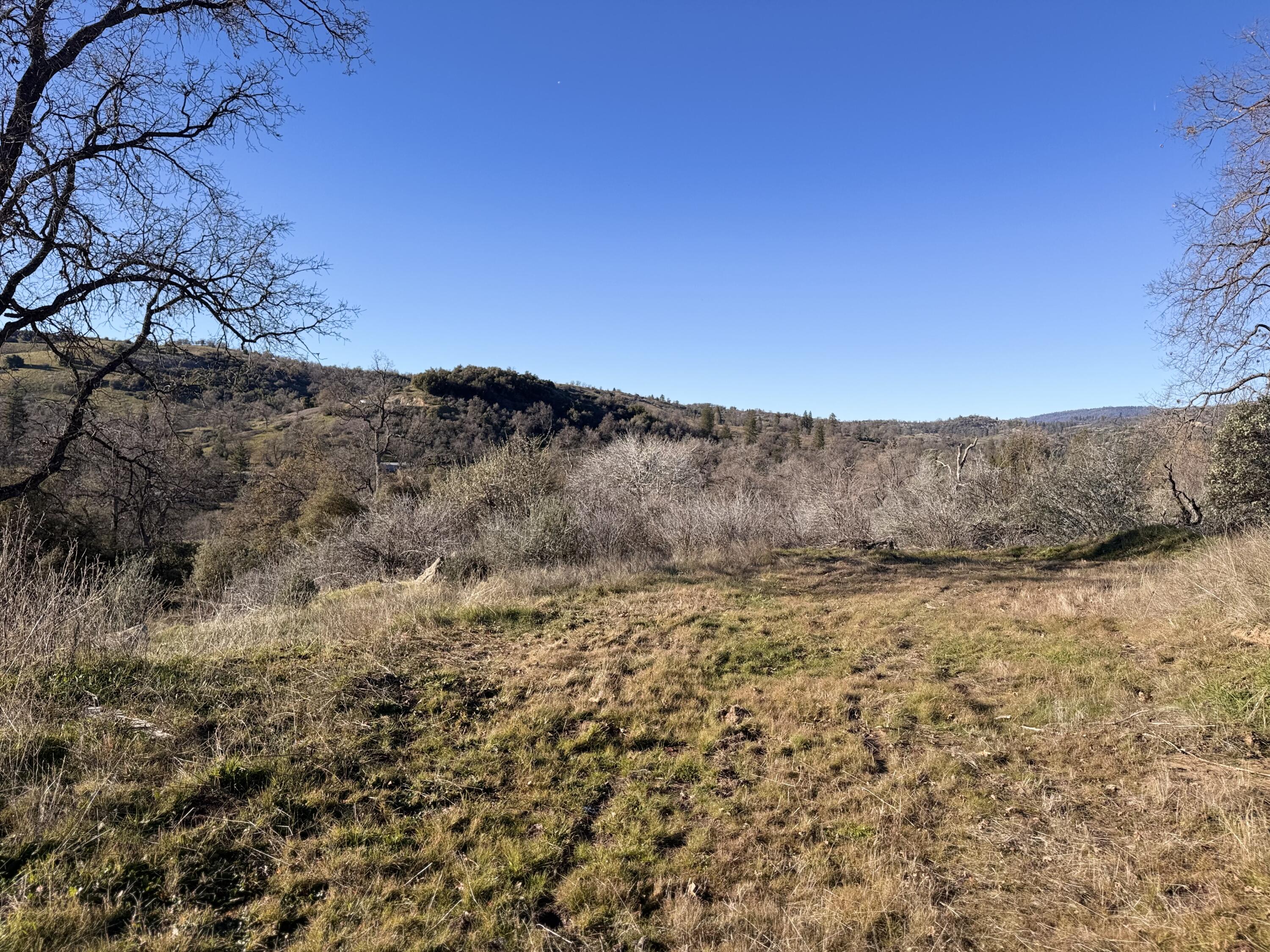 369 Hogback Dr Dr, Badger, CA 93603
