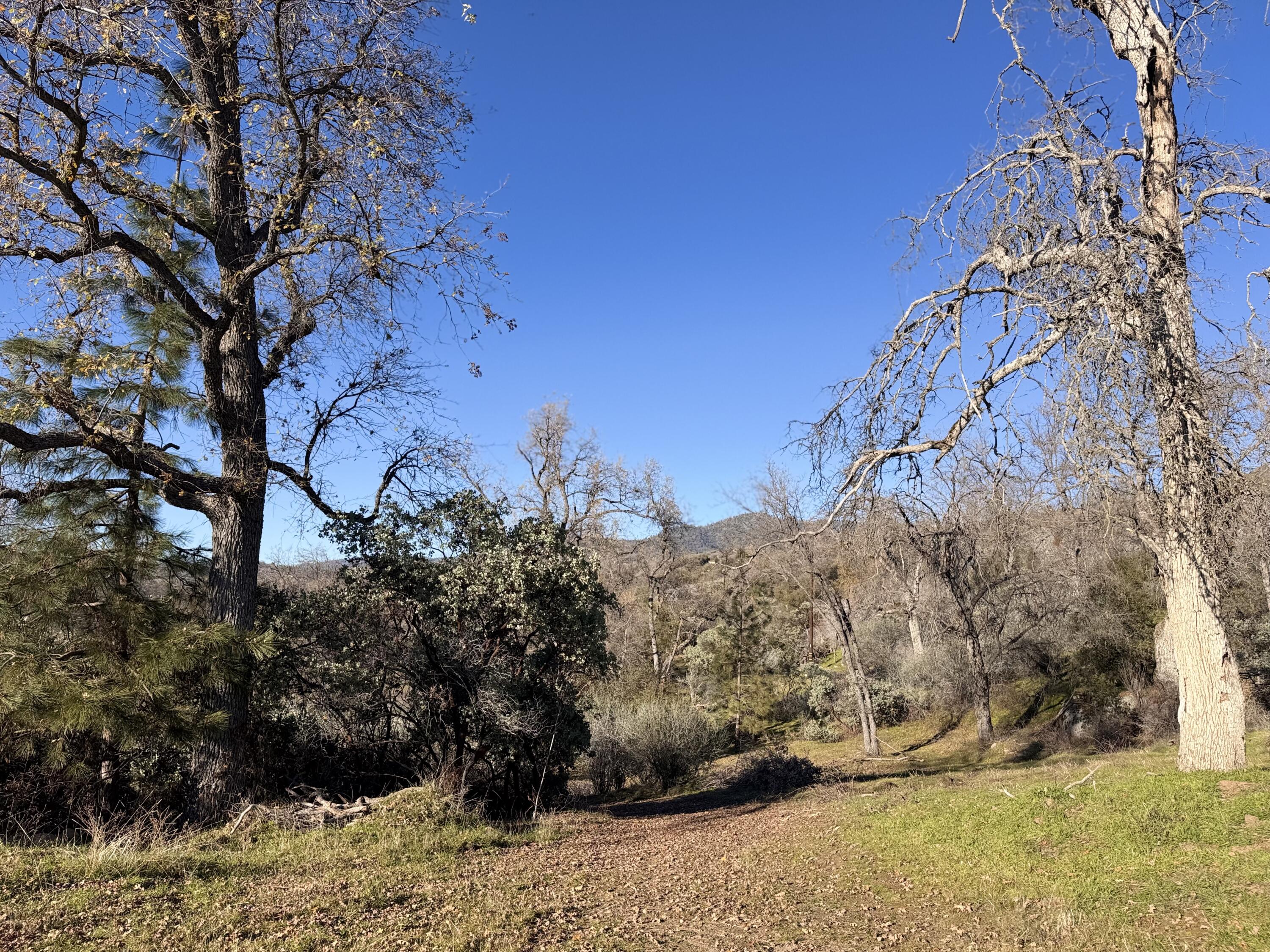 369 Hogback Dr Dr, Badger, CA 93603