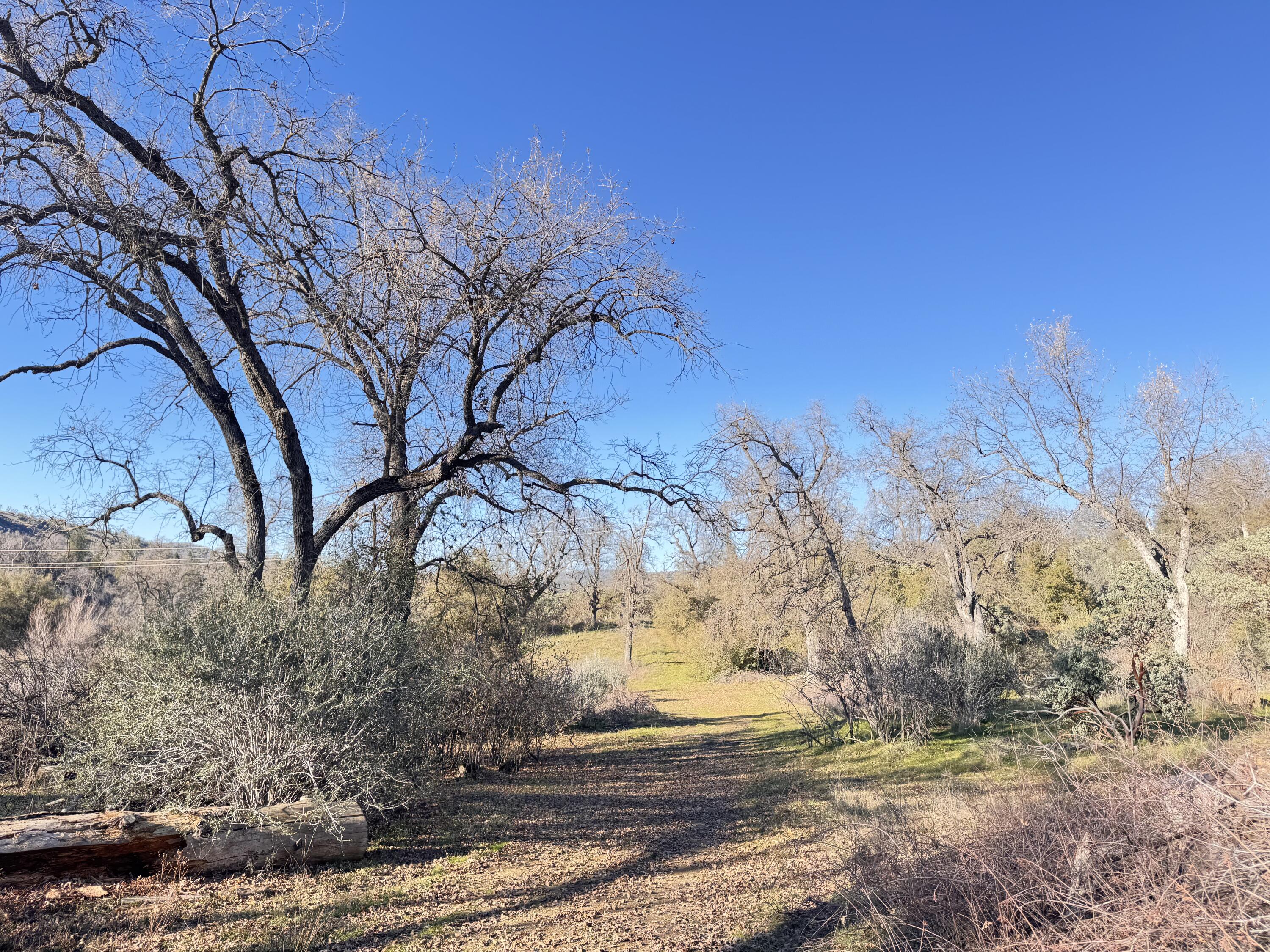 369 Hogback Dr Dr, Badger, CA 93603