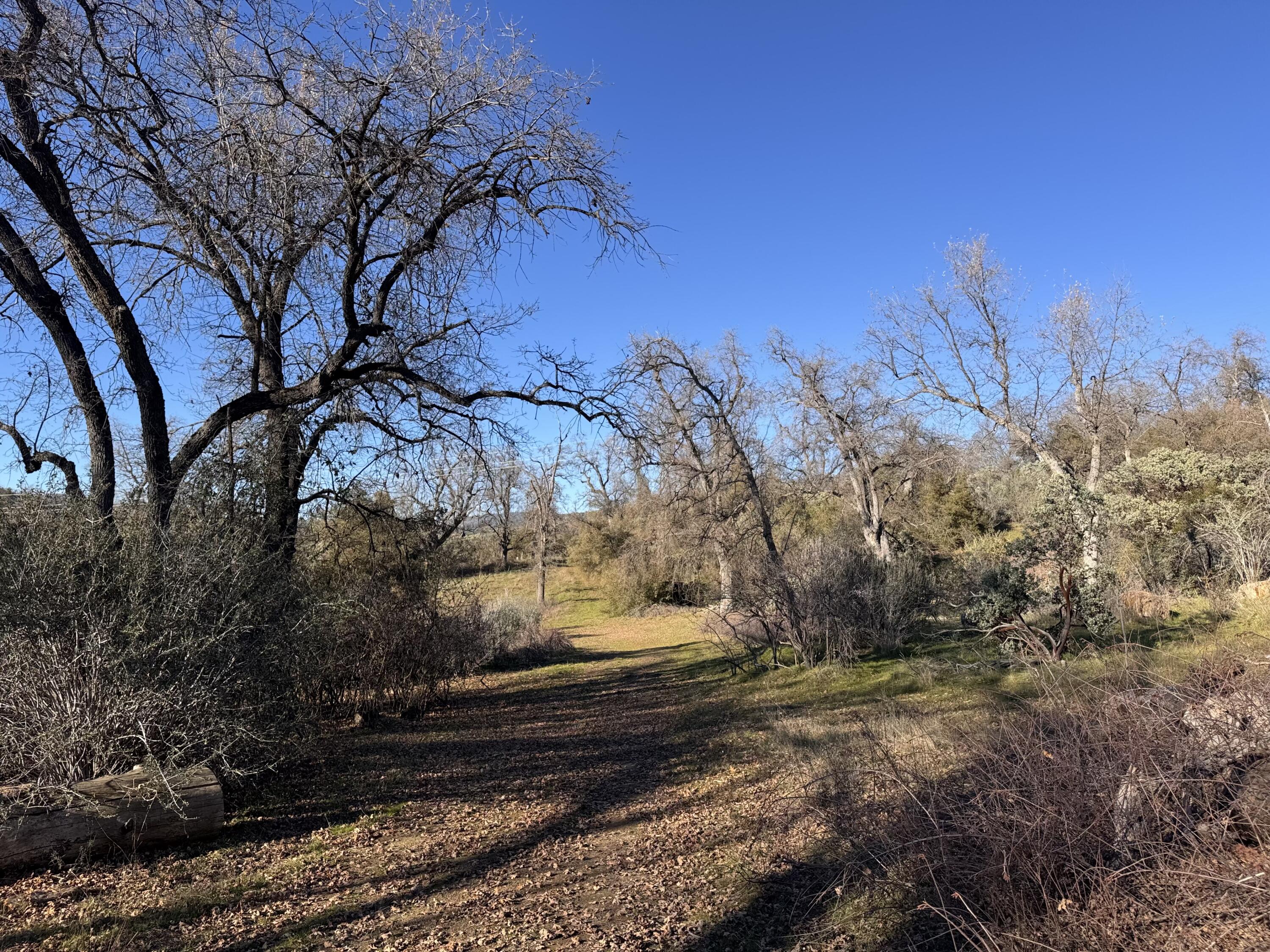 369 Hogback Dr Dr, Badger, CA 93603