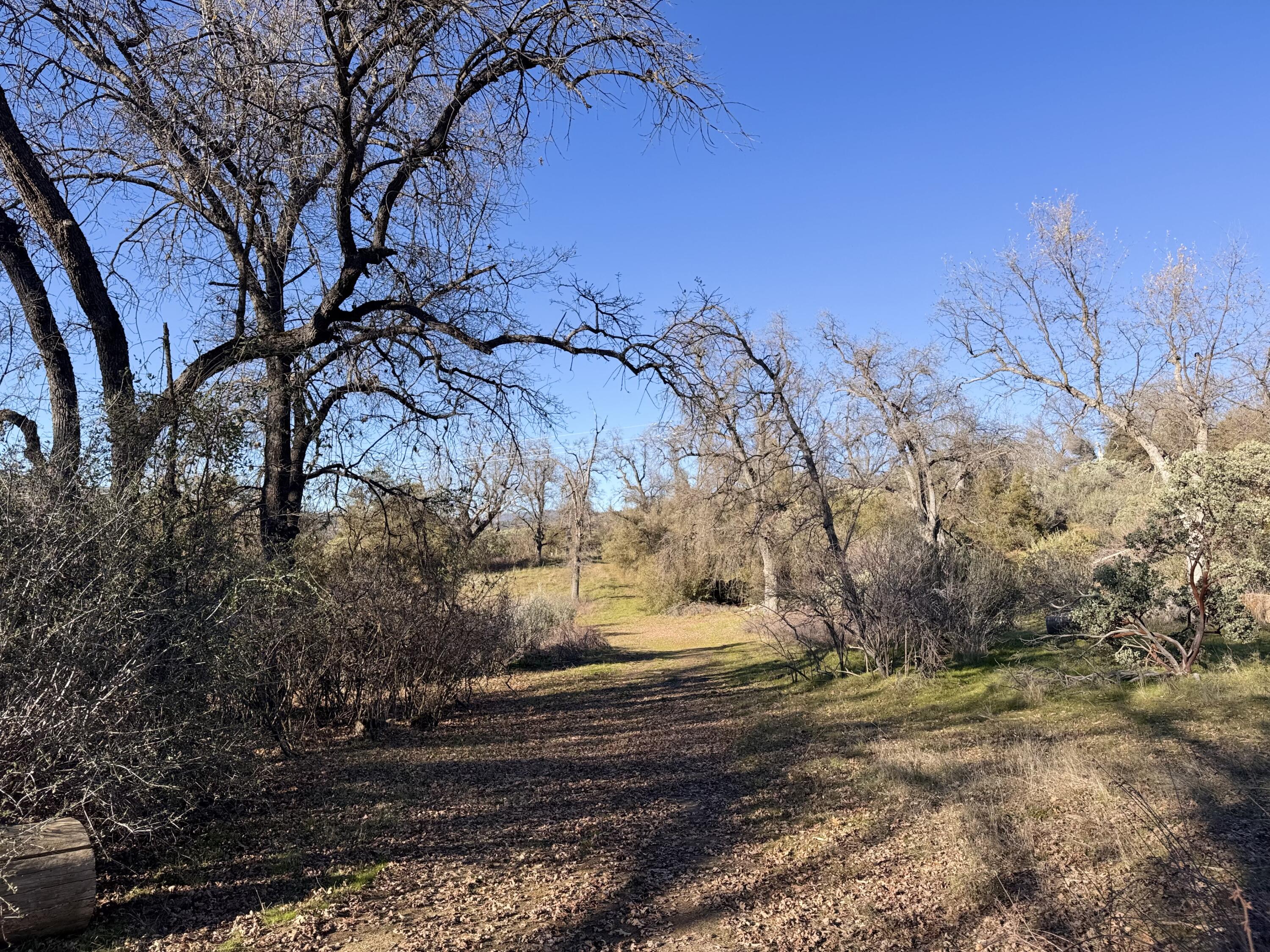 369 Hogback Dr Dr, Badger, CA 93603