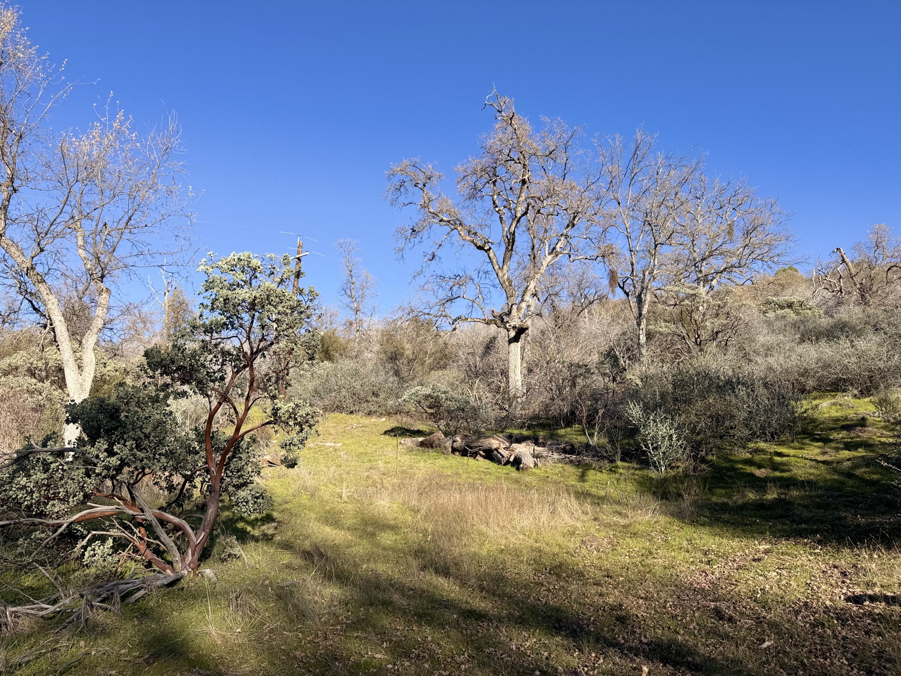 369 Hogback Dr Dr, Badger, CA 93603