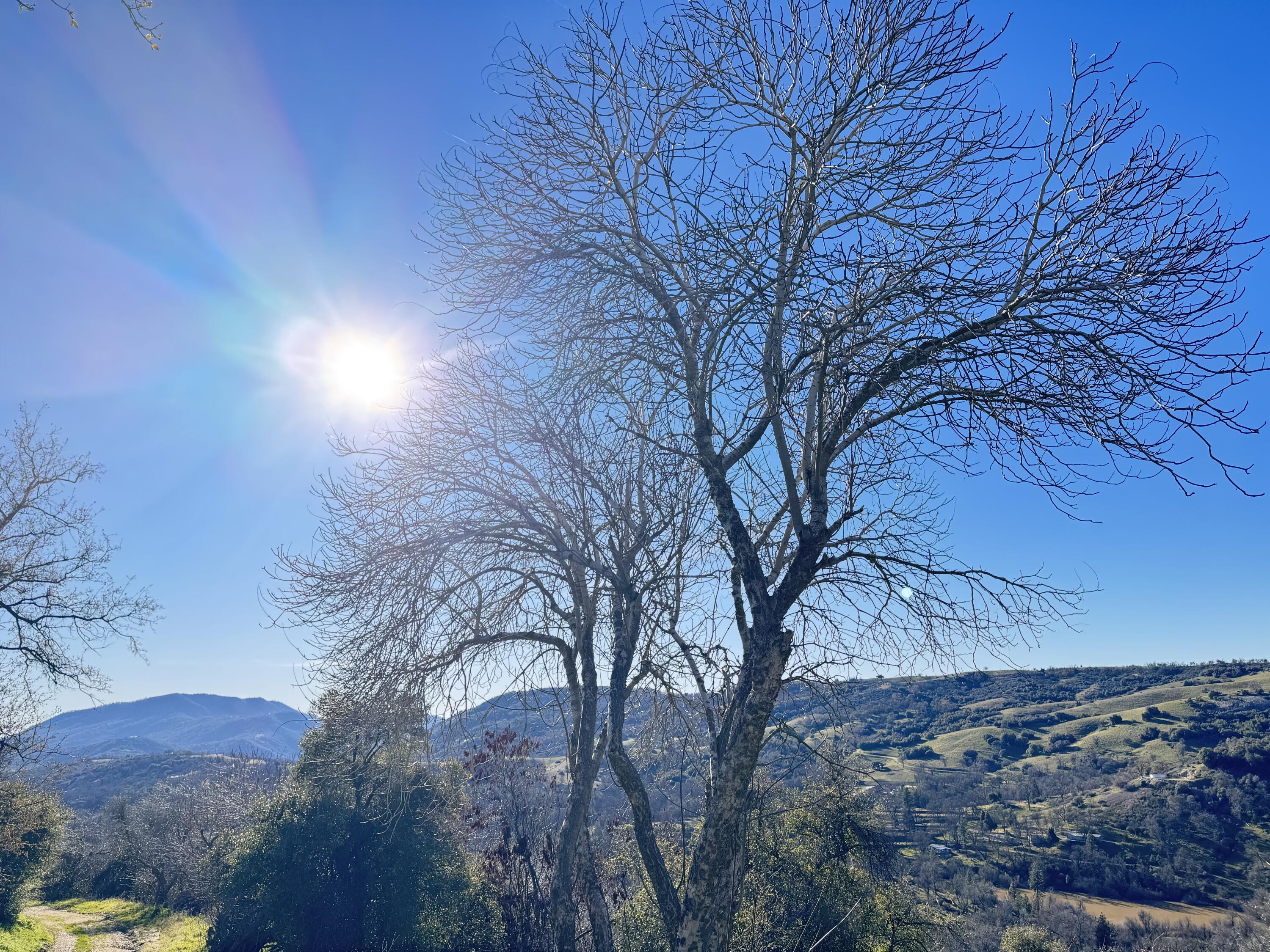 369 Hogback Dr Dr, Badger, CA 93603