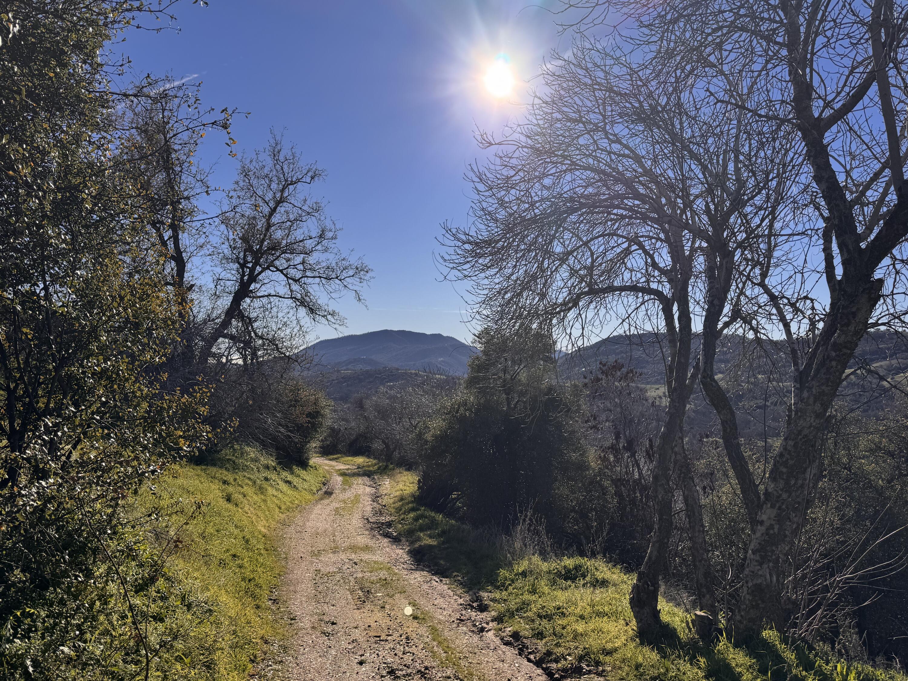 369 Hogback Dr Dr, Badger, CA 93603