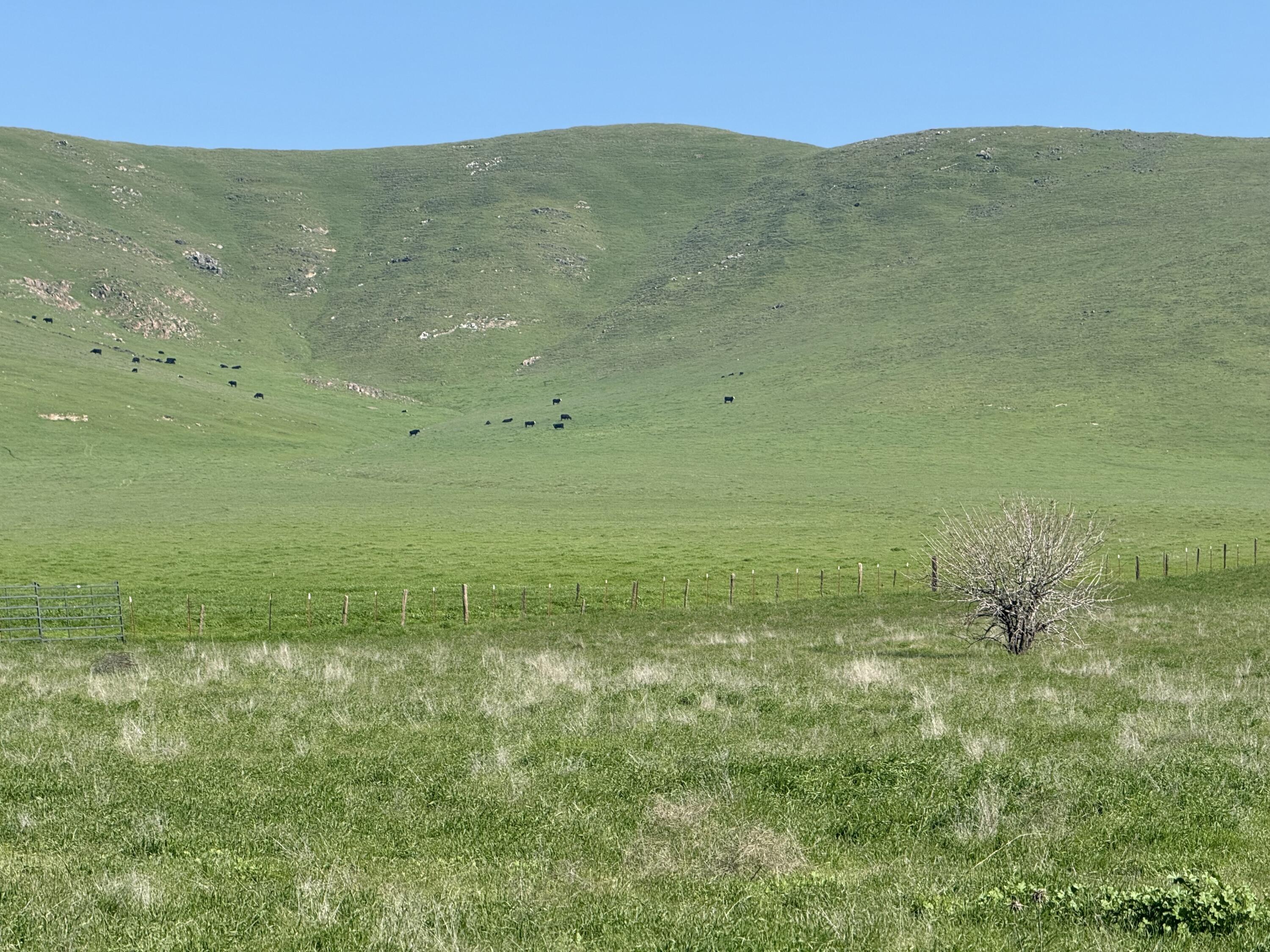 0 Old Stage Rd, Terra Bella, CA 93270