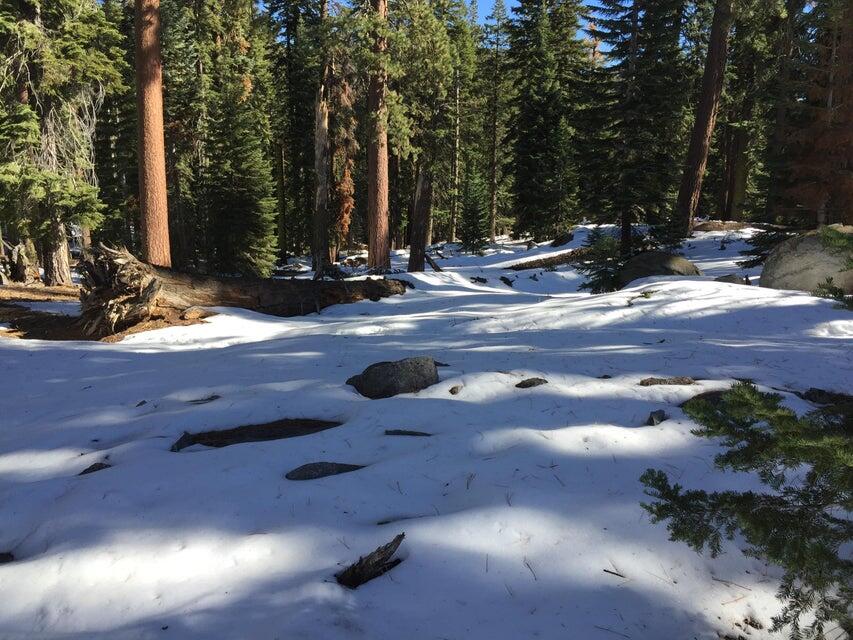 57955 Summit Dr, Ponderosa, CA 93265