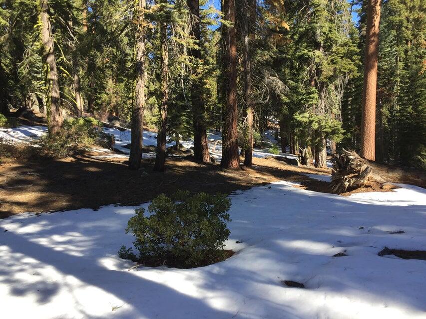 57955 Summit Dr, Ponderosa, CA 93265