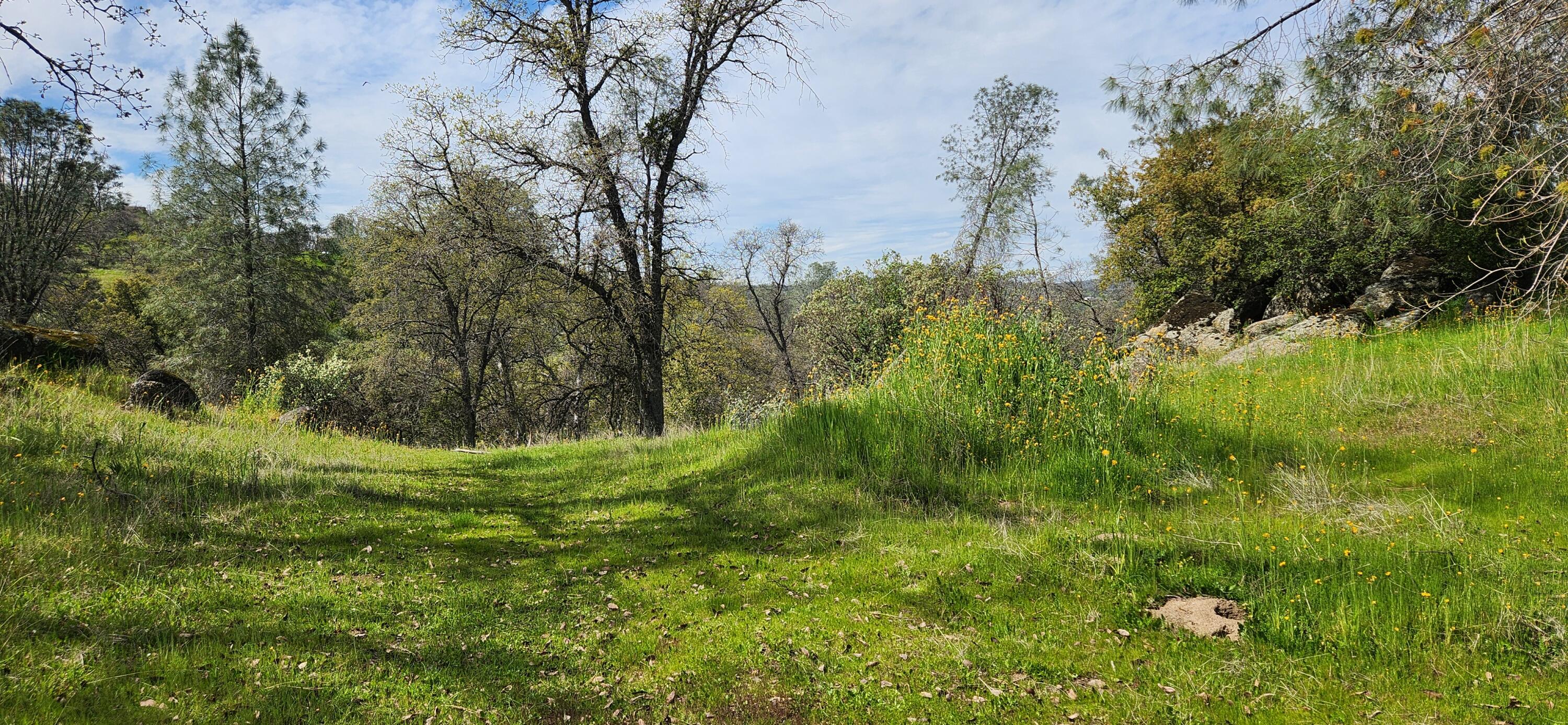 0 Starlight Ct, Coarsegold, CA 93614