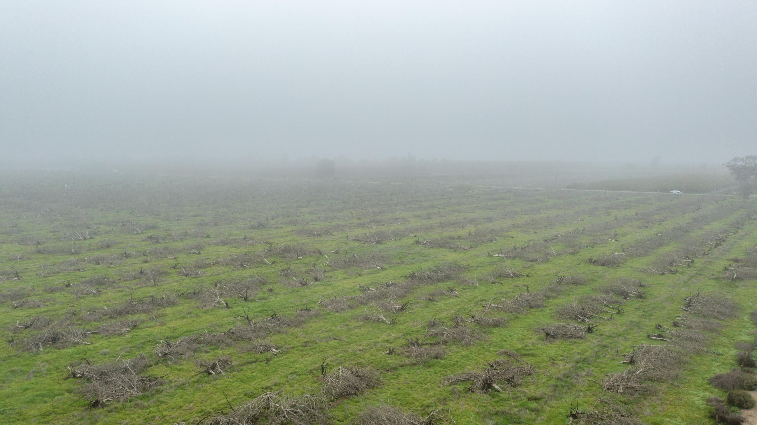 0 Road 208, Porterville, CA 93257