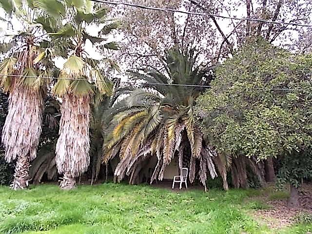 1010 N Turner St, Visalia, CA 93291