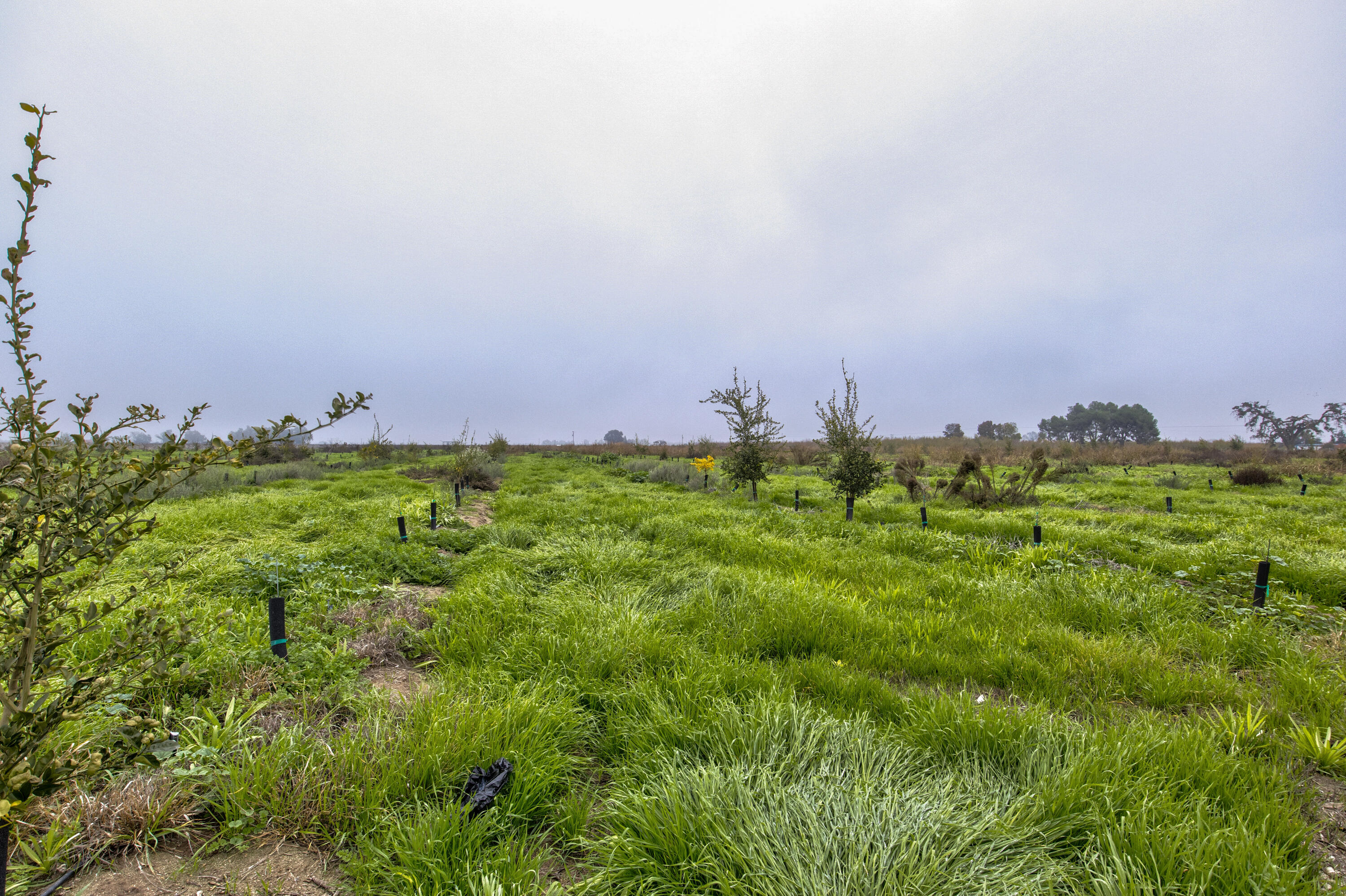 0 Road 208, Porterville, CA 93257